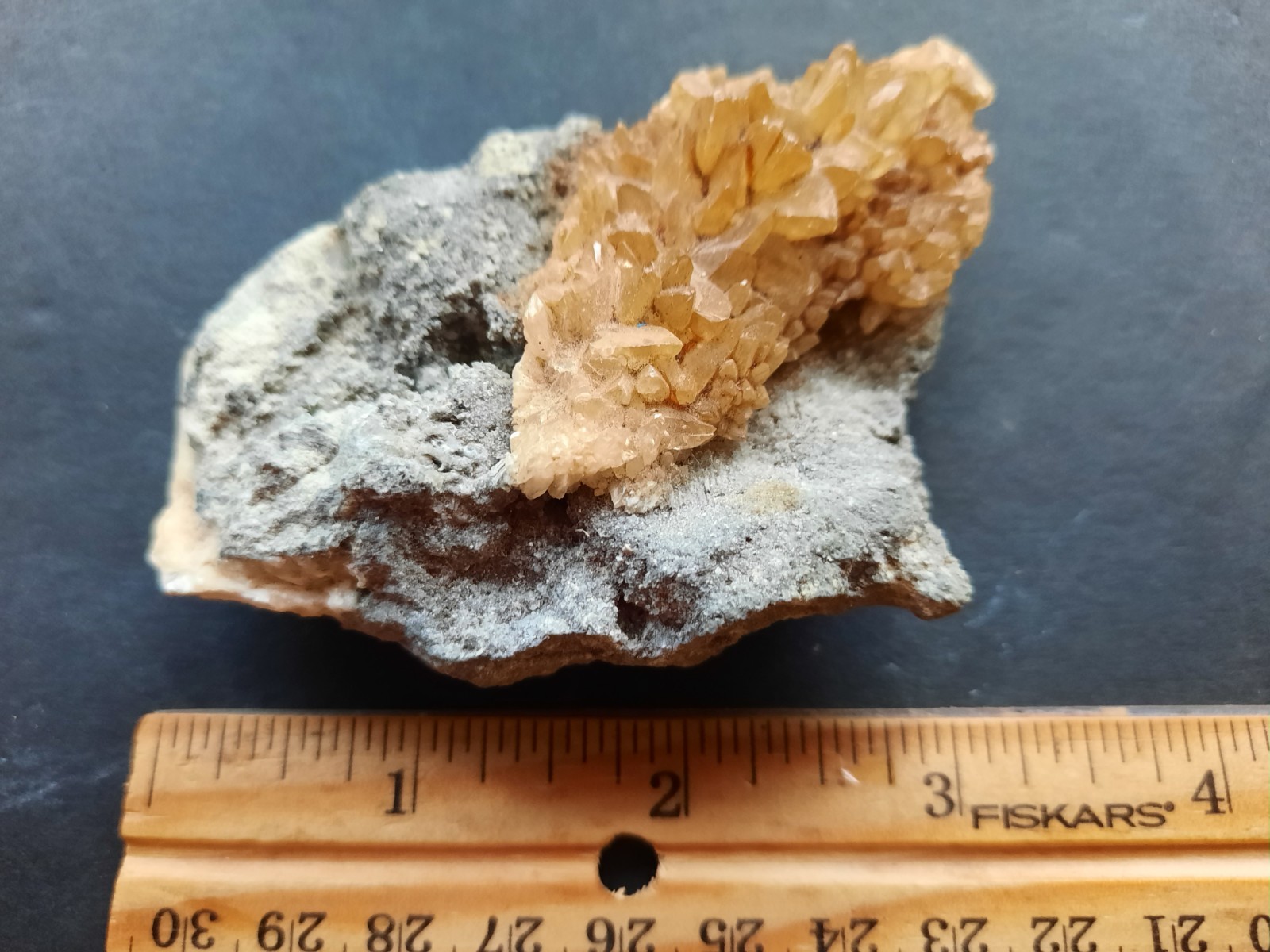 Golden Yellow Honey Calcite Crystals on Fossil Mangrove Clam Shell Rucks Pit