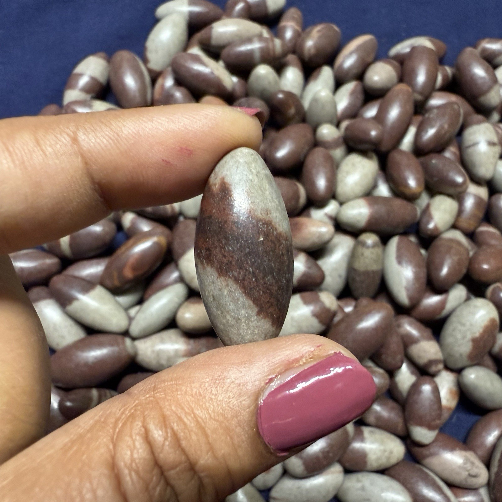 10 pc small 1” Shiva Lingam stone from India – Narmada River High Quality
