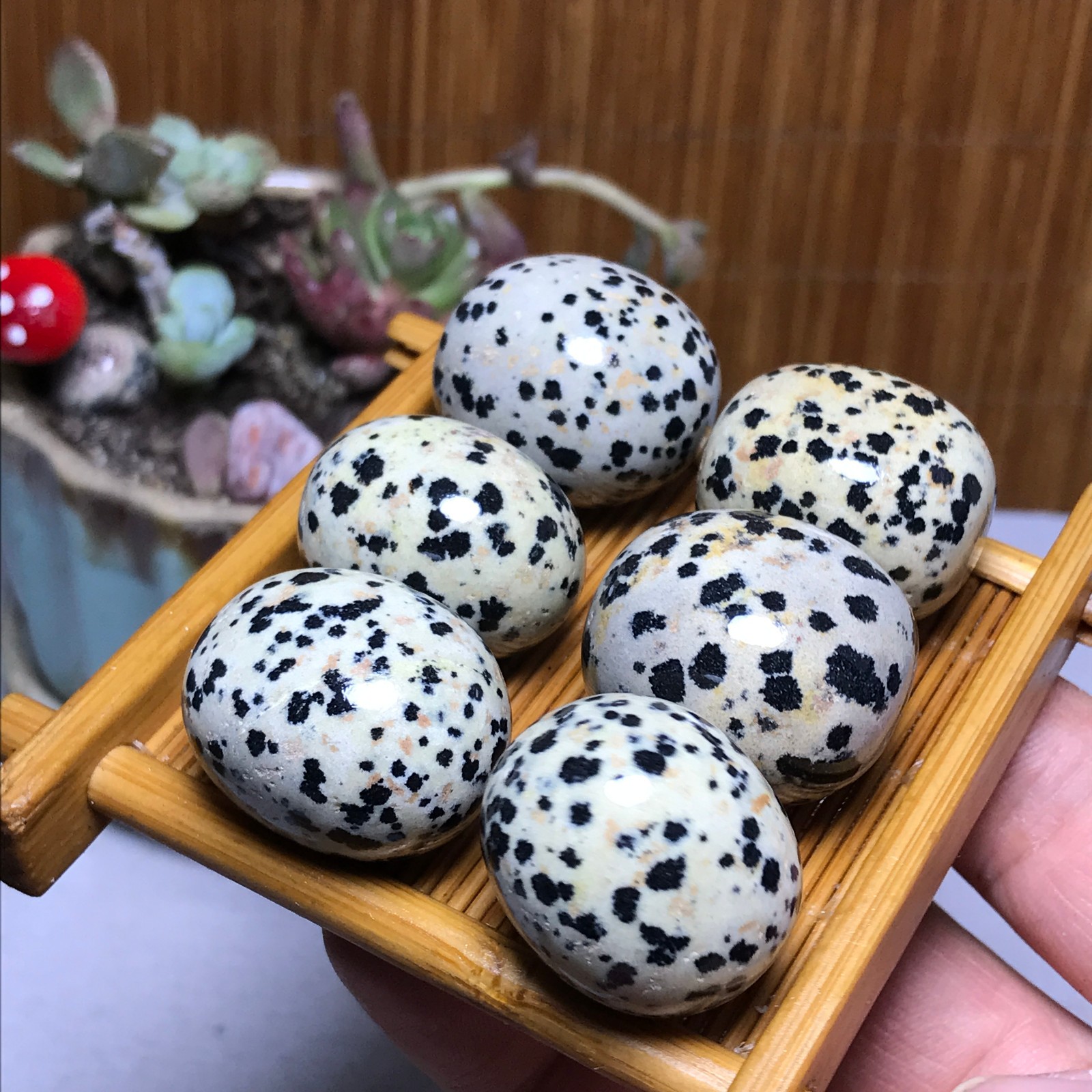 28-22-21mm 6Pcs Natural spotted stone Crystal gemstone Mineral Specimen A4402