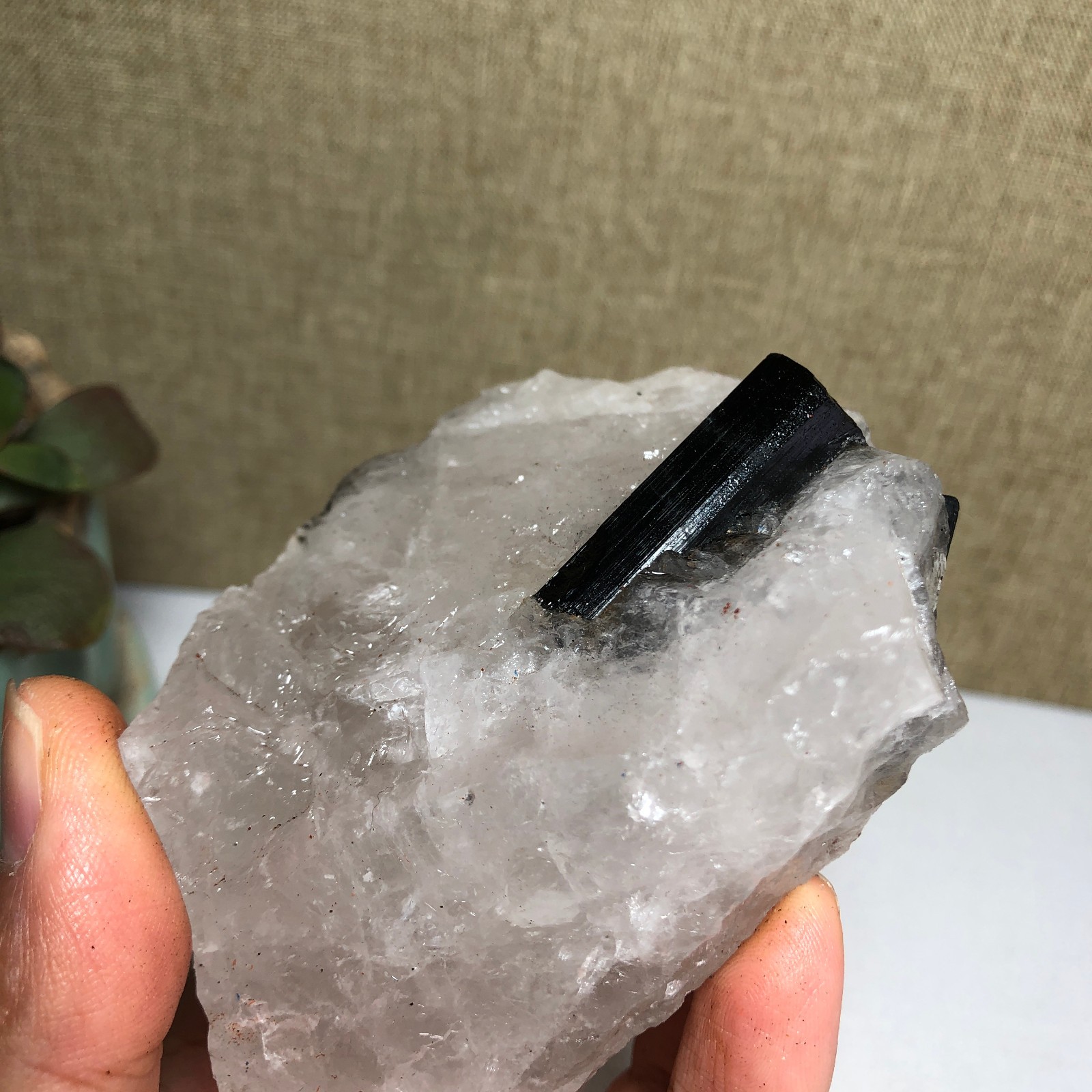 Natural tourmaline Crystal paragenesis gemstone original Specimen 290g A1684