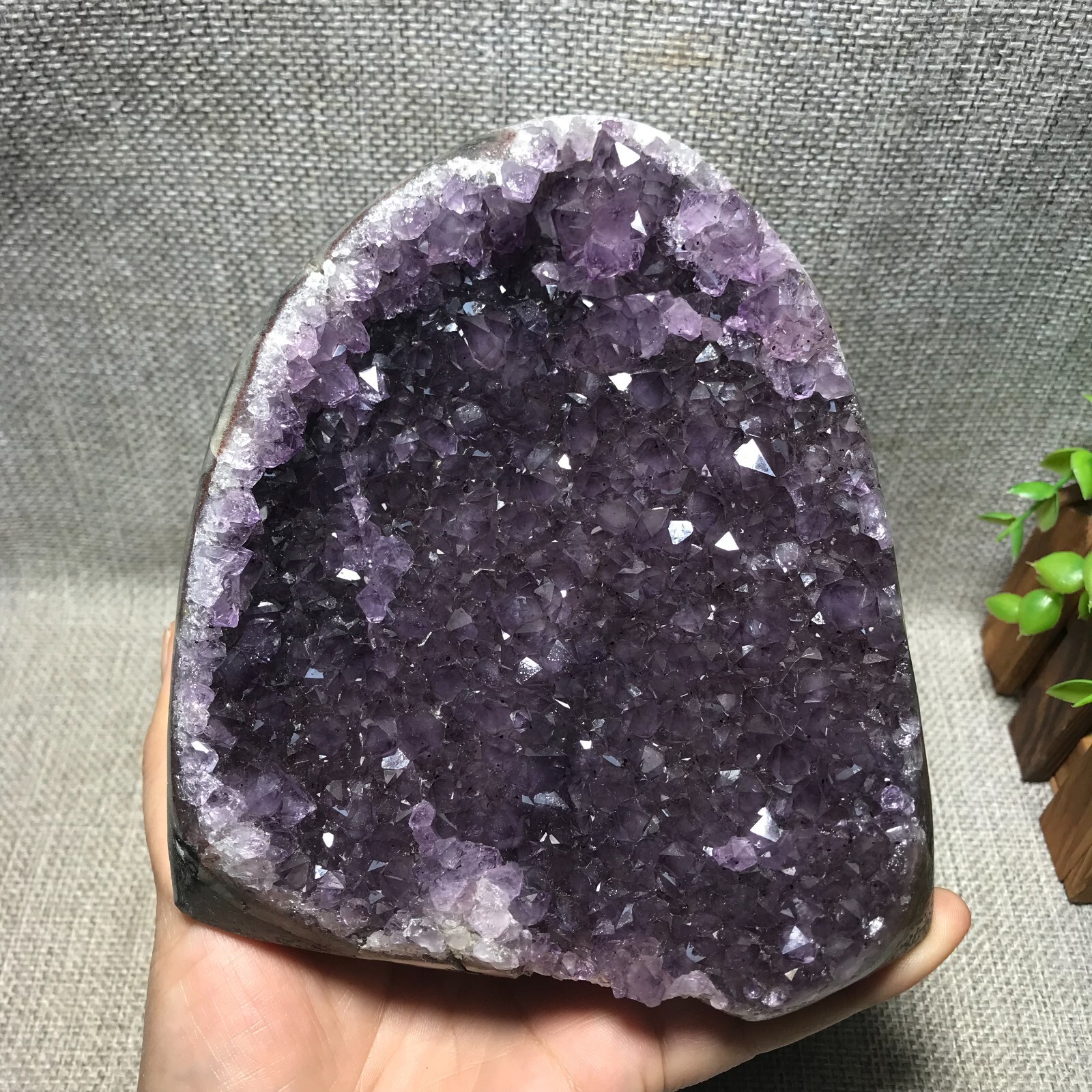 1570g Natural Amethyst Cluster Geodes Cut Base Quartz Crystal Healing 33