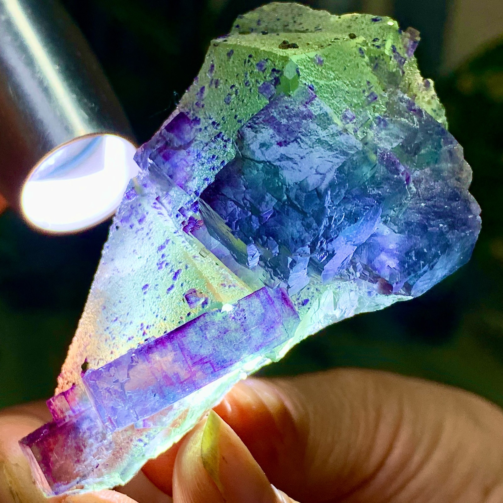 86G Rare transparent green purple cubic Zhejiang fluorite mineral sample