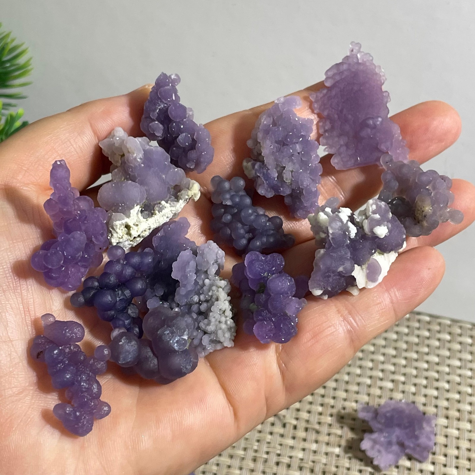 71g Purple stone, grape agate, quartz crystal, granular mineral 12pcs