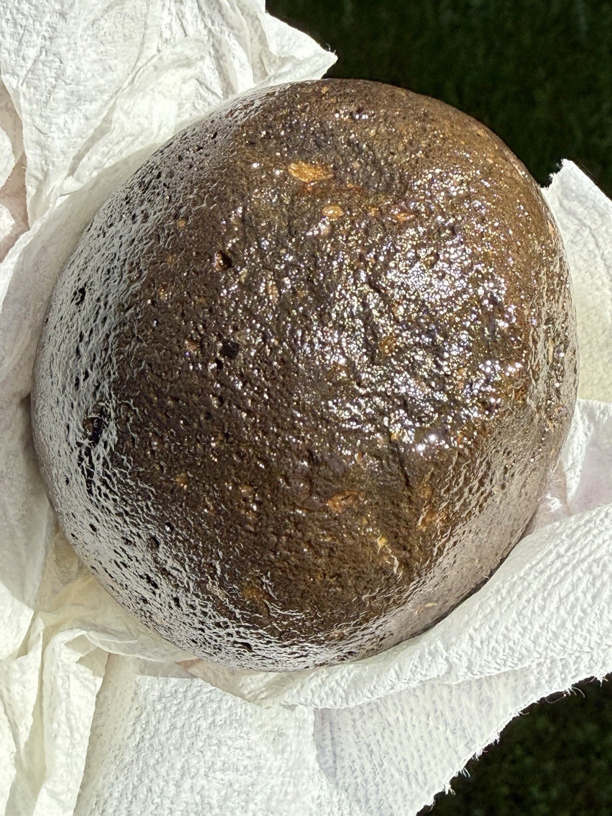 NATURAL SPHERICAL RHYOLITE OR SANDSTONE? CONGLOMERATE ROUND SPHERE STONE ROCK CA