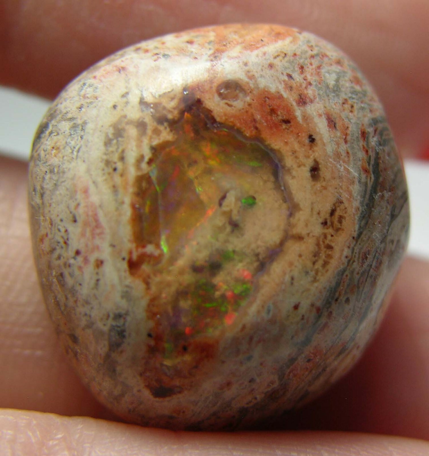 #18 Mexico 17.50ct 100% Natural Fire Opal in Matrix Cabochon Gemstone 3.45g 19mm