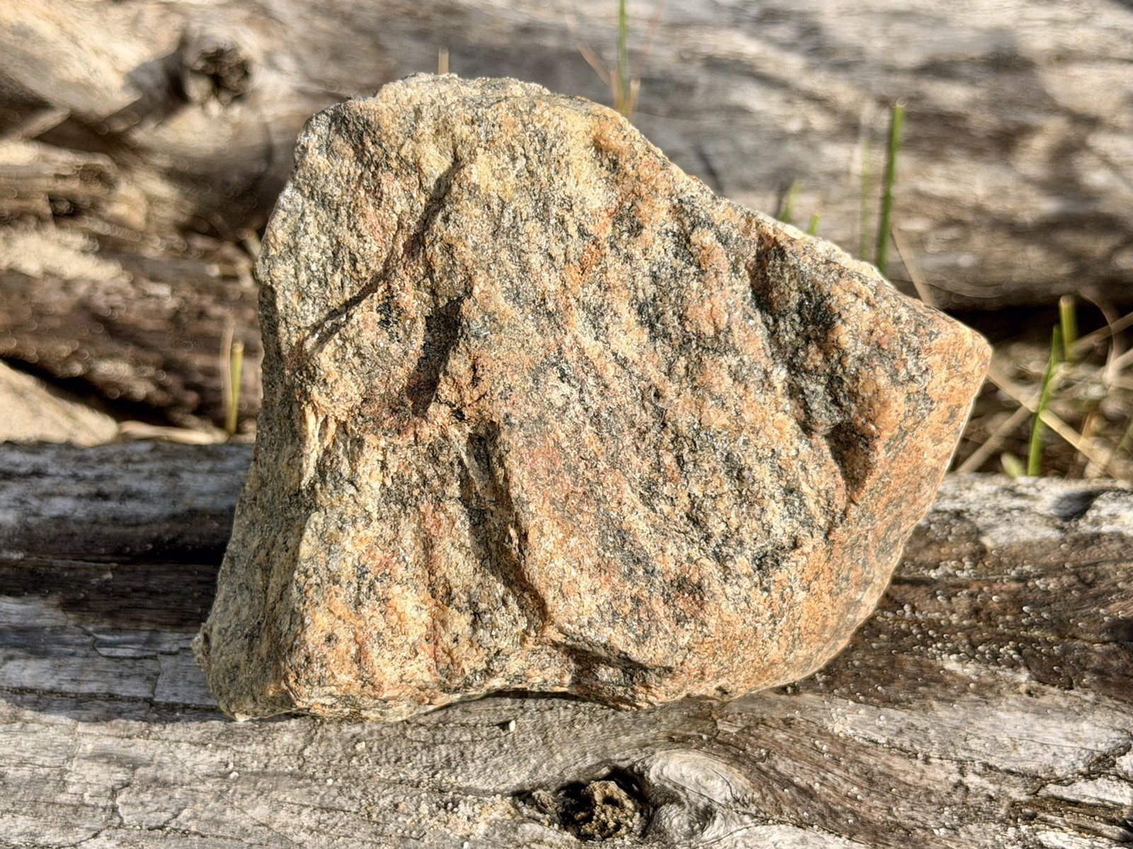 Natural Lake Michigan Rock Speckled Granite With Pink Hue Large LOOK! 👀 2.7lb+