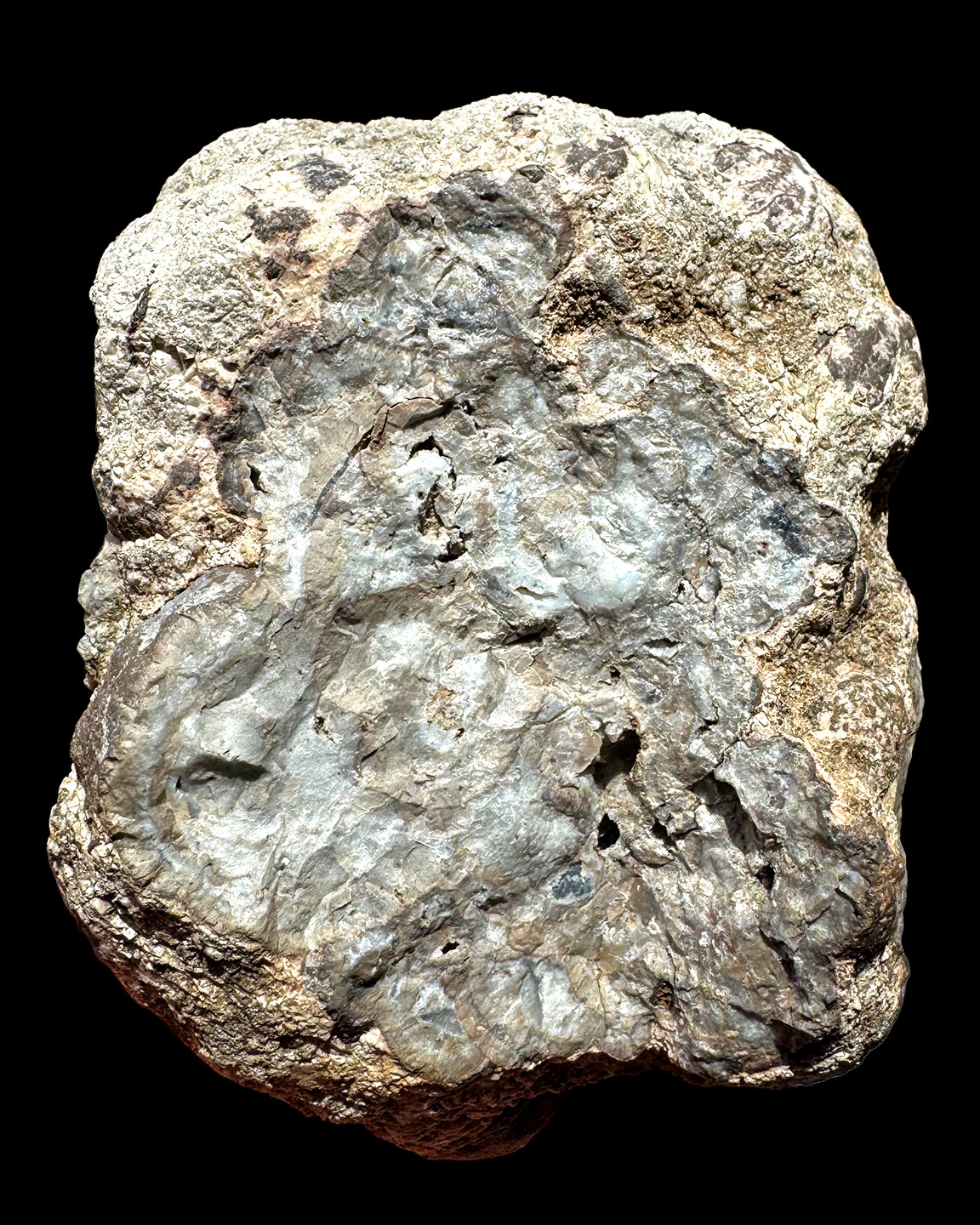 1.5 LB Unique Quartz Vug Agate Geode for display from United States
