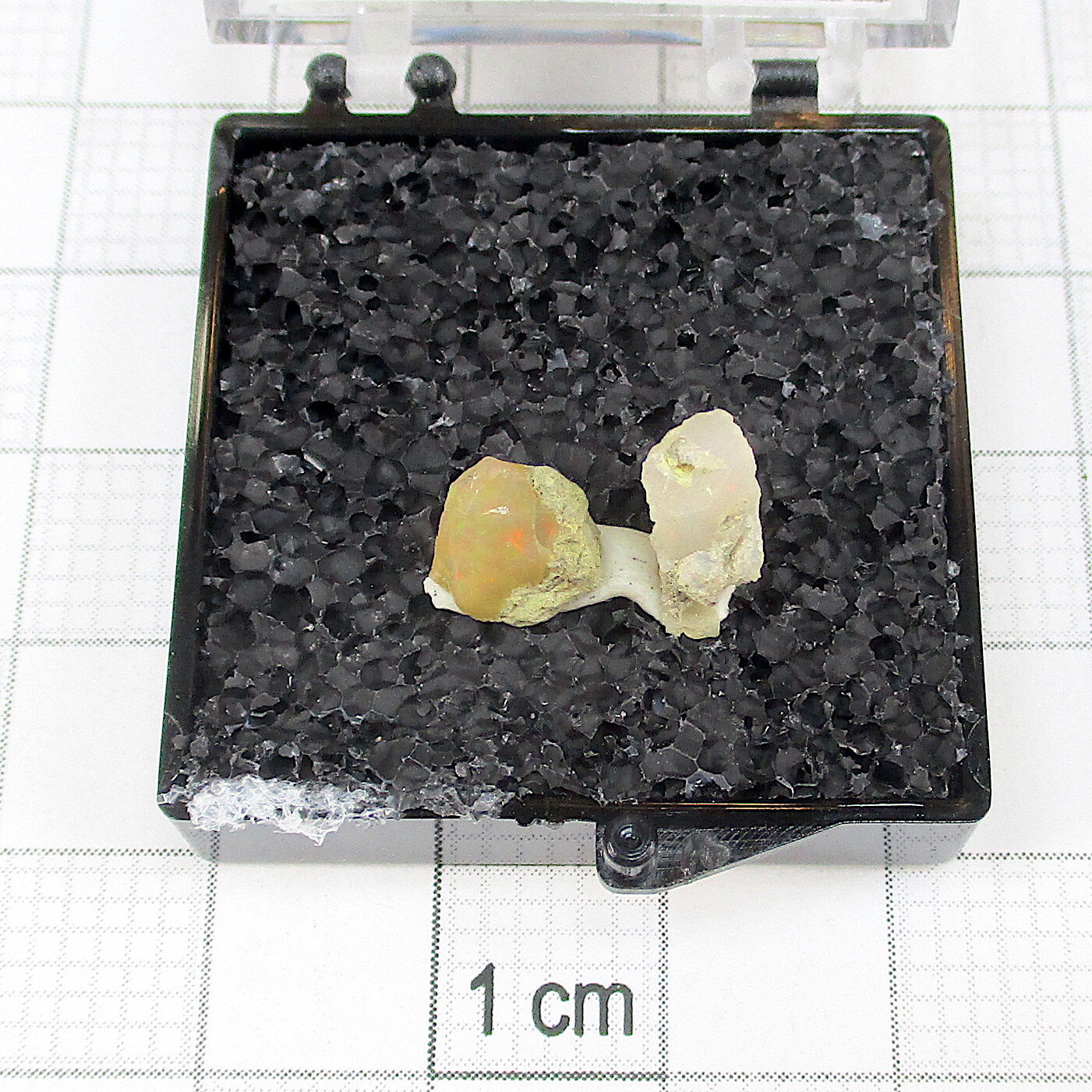 03410 TN Precious Opal Ethiopia 21874