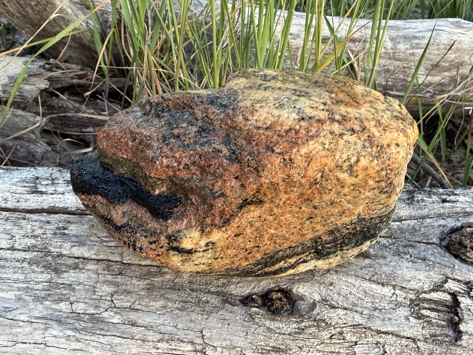 Natural Lake Michigan Rock Granite Large LOOK! 👀 3lb+ READ CAREFULLY