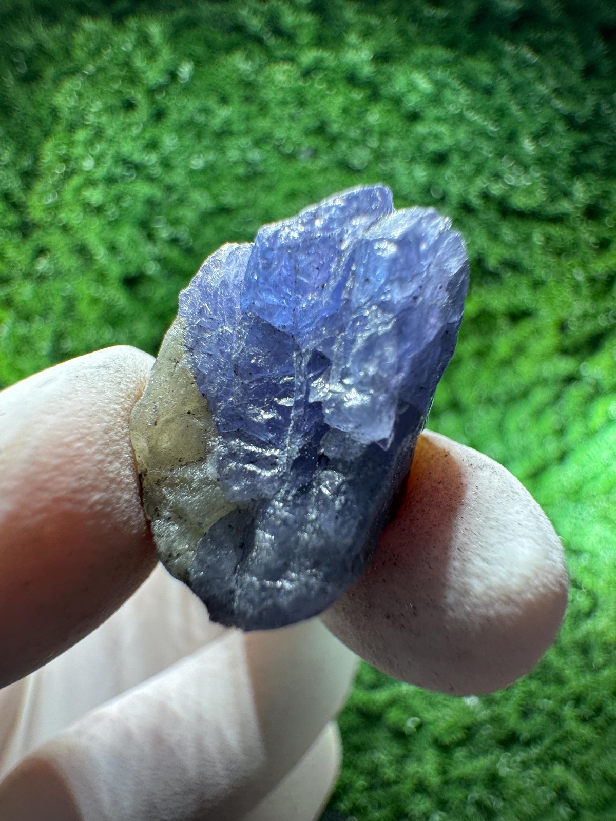 TANZANITE Crystal with COLOR CHANGE under / N878