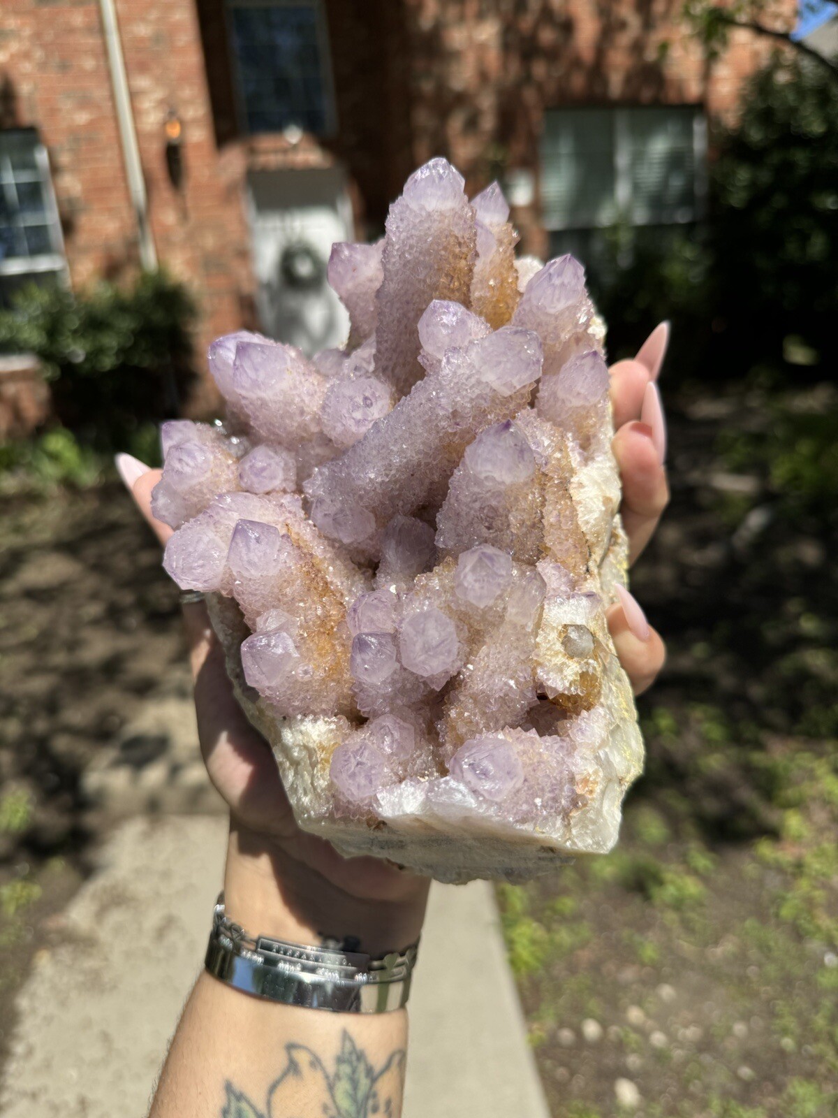 High Grade XXL (5.7lbs) Long Finger Deep Lavender Spirit Cactus Quartz cluster