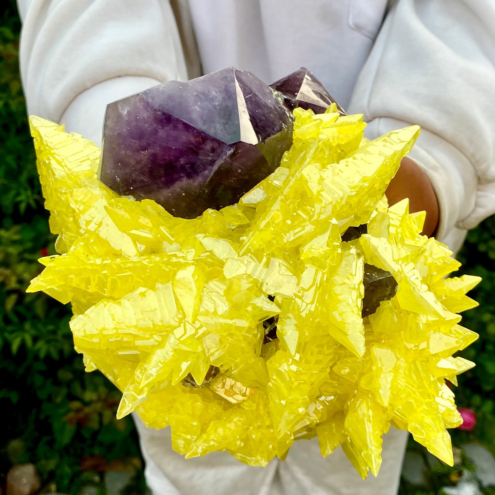 10LB Natural Amethyst & Sulphur Symbiotic Crystal Cluster Specimen