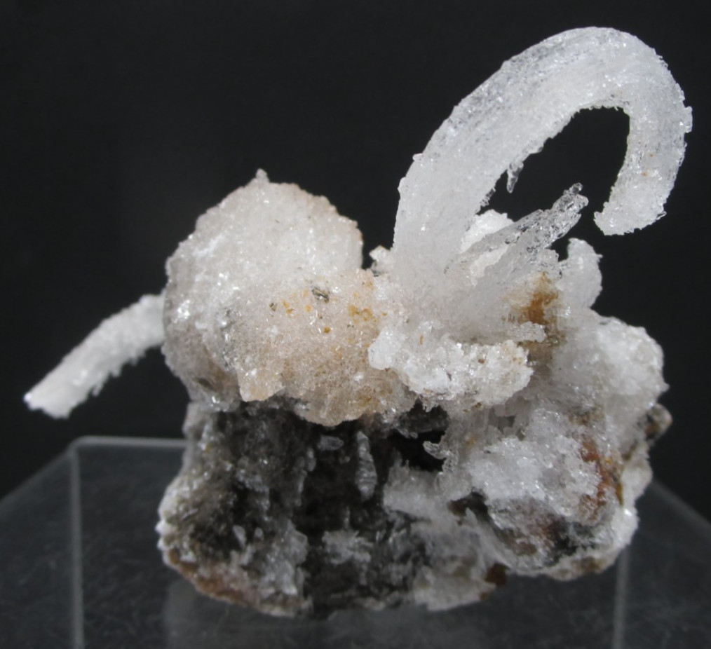 Awsome Frozen Kraken Ram’s Horn Selenite Mineral Specimen Morocco