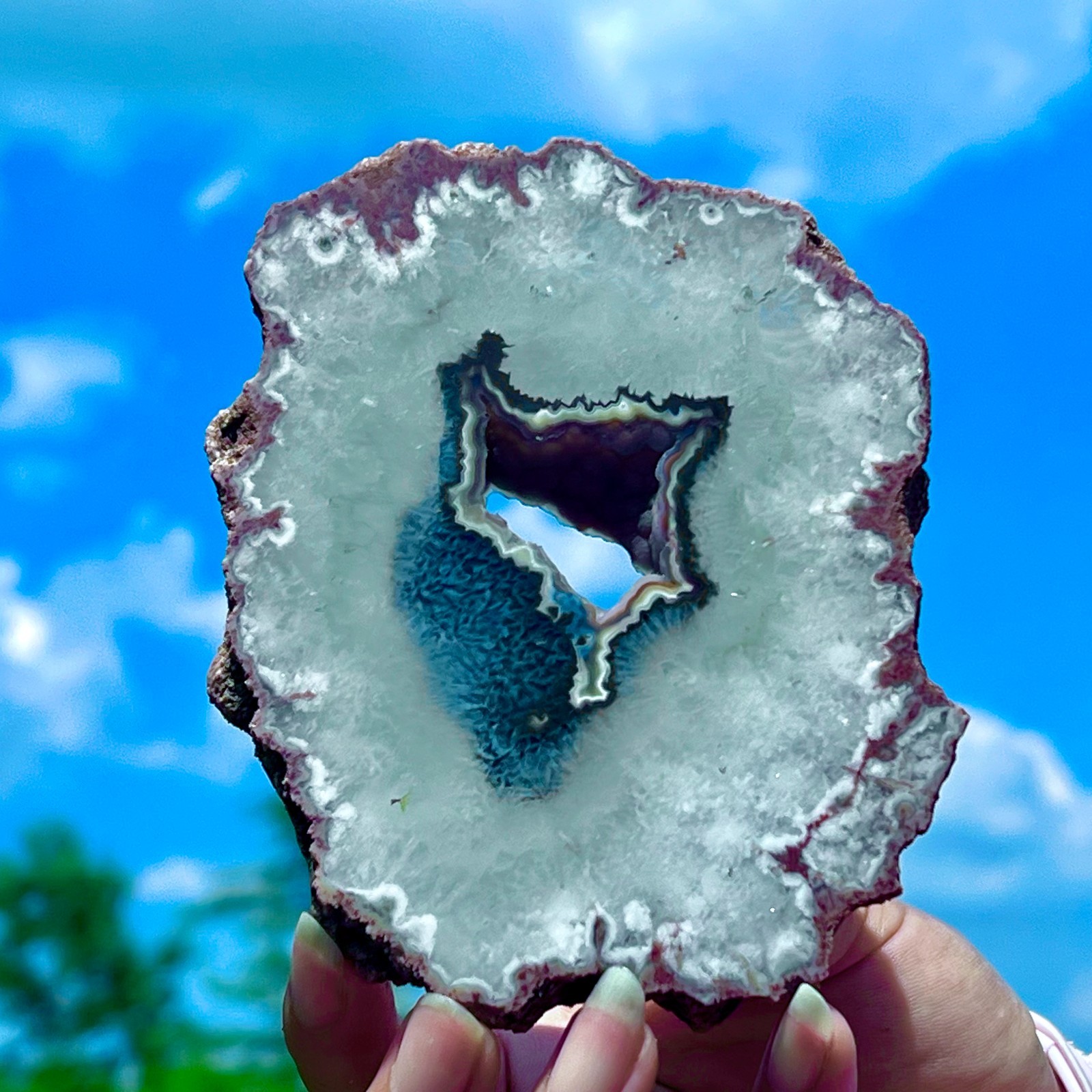 212G Natural Colorful Lace Agate Geode Slice Extra Large Gem From Argentina