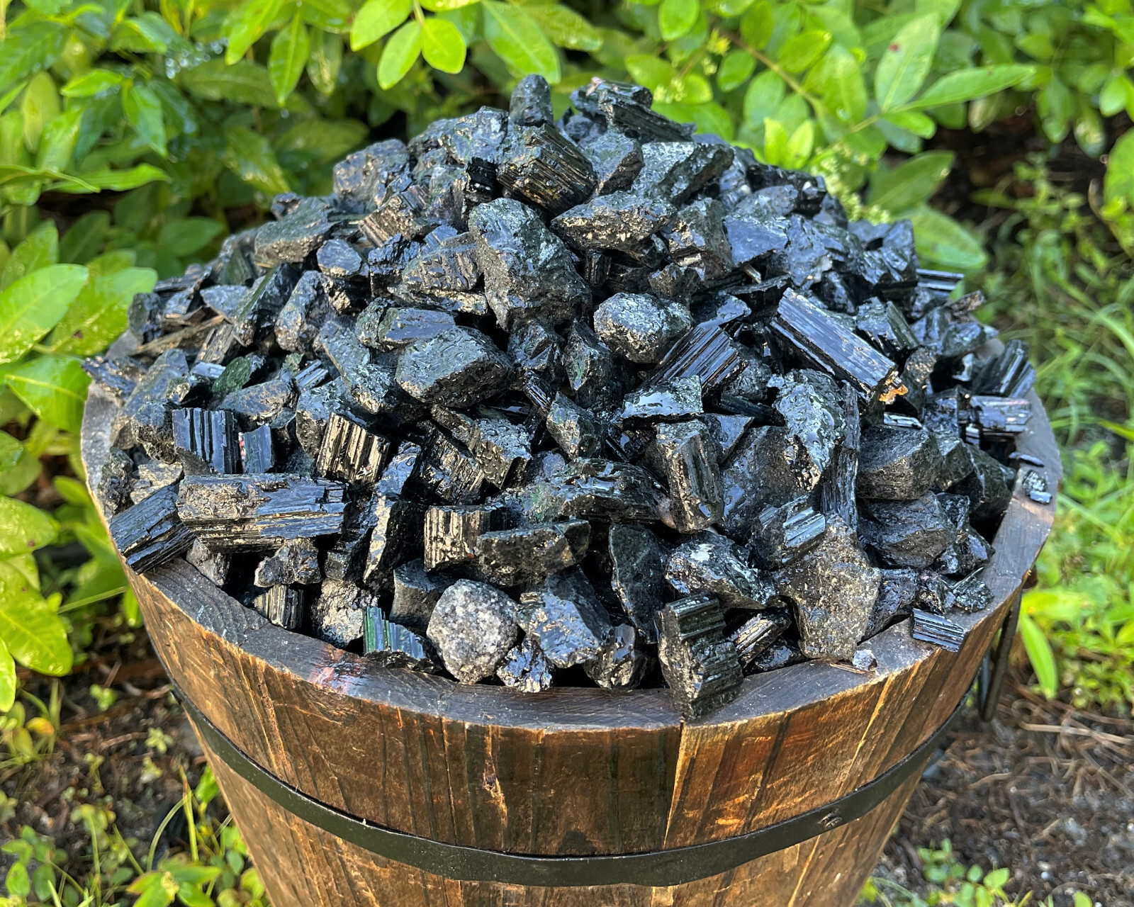 Black Tourmaline Crystals Natural Stones 1/2 lb Bulk Wholesale Collection Box