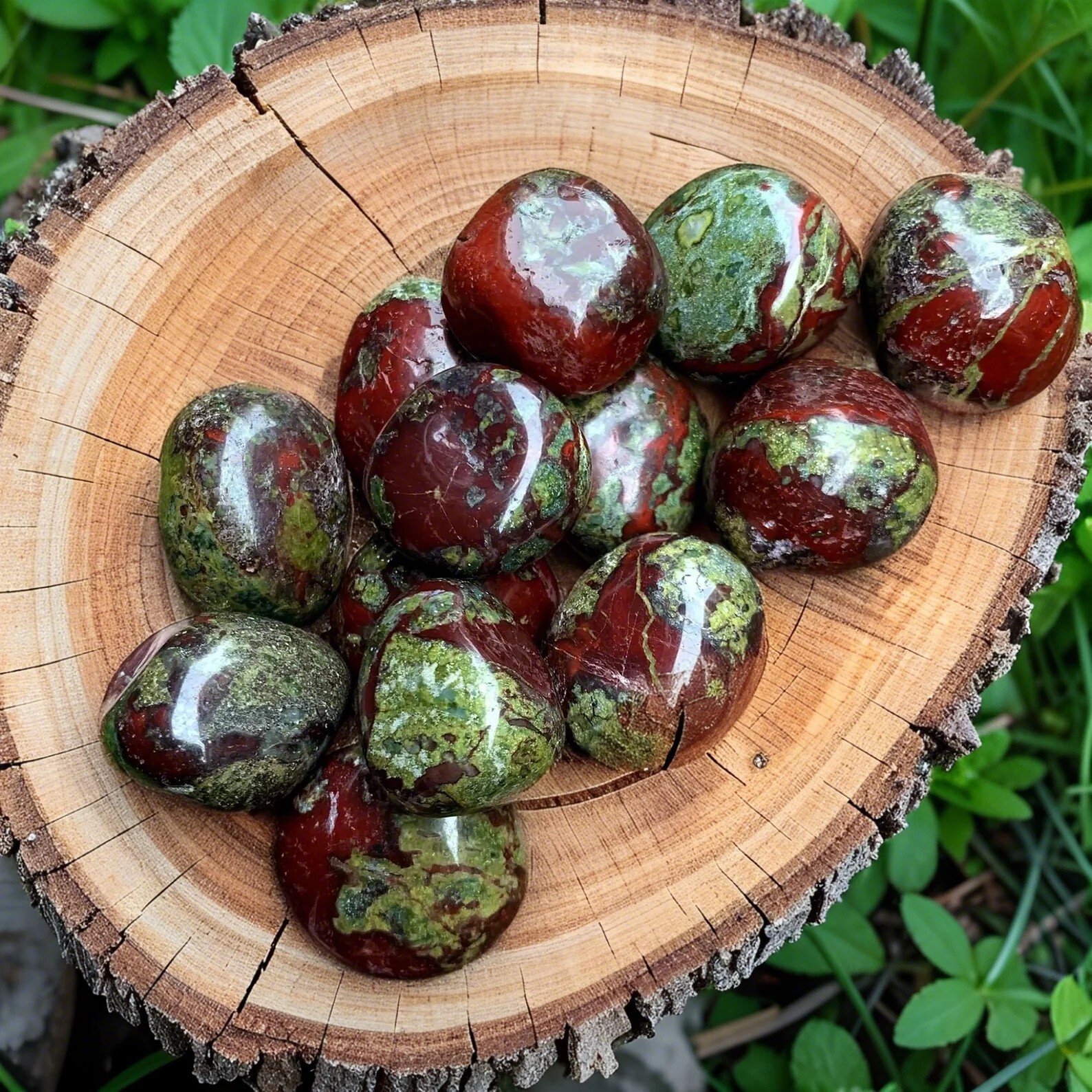 3PCS Tumbled Dragon Bloodstone Healing Palmstone Mineral Specimen Spiritual Gift