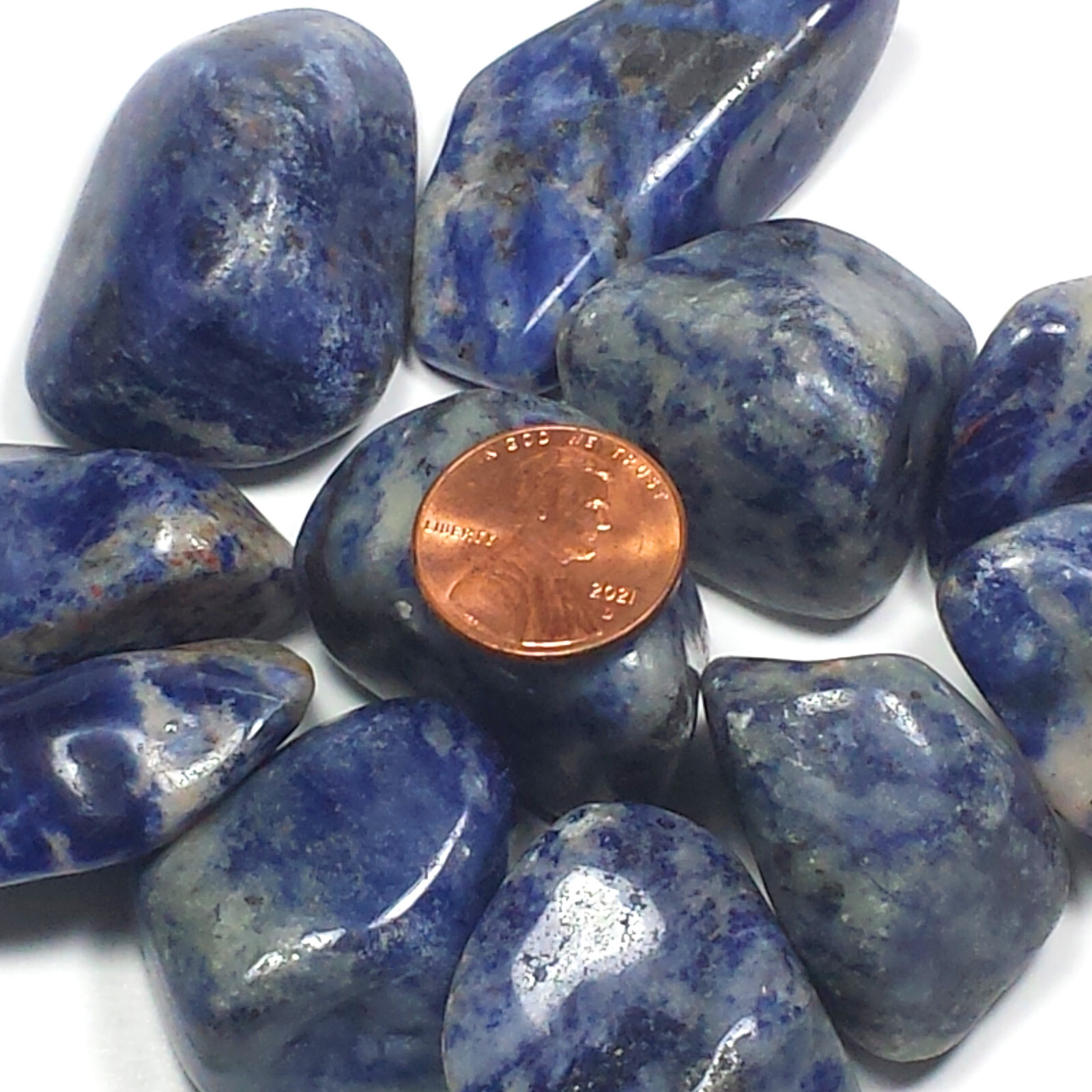 Blue Sodalite Tumbled Polished Crystal Stones, 8 oz Lot, 2 Sizes