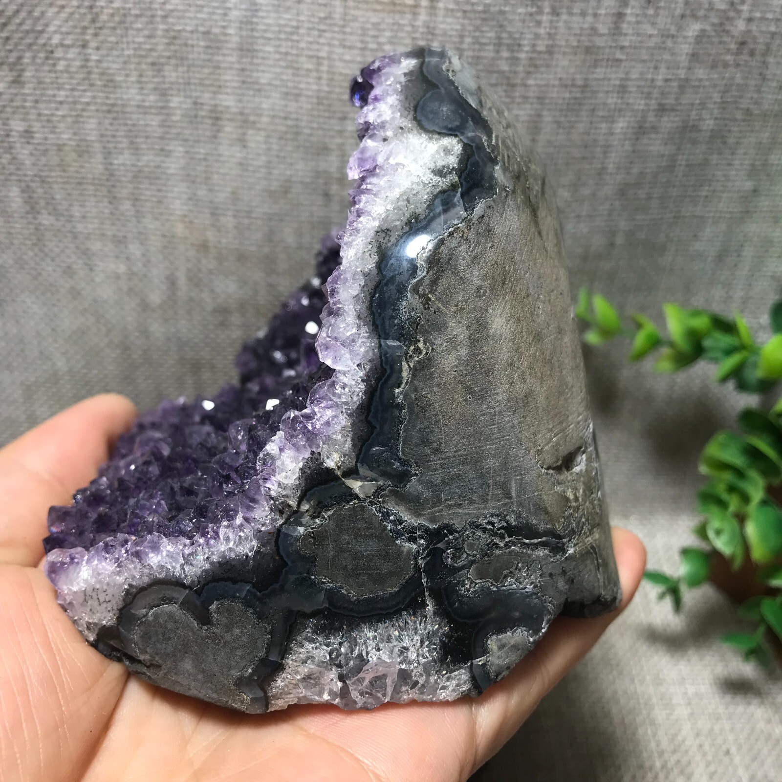 545g Natural Amethyst Cluster Geodes Cut Base Quartz Crystal Healing 69