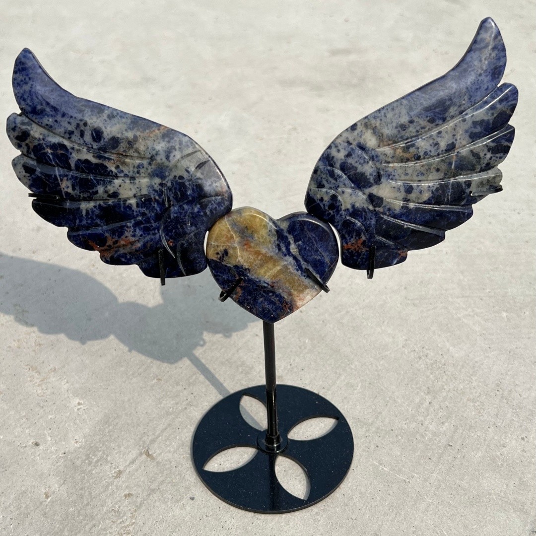 Natural Sodalite Angel of Love wings skull quartz crystal Skull Random+ Stand