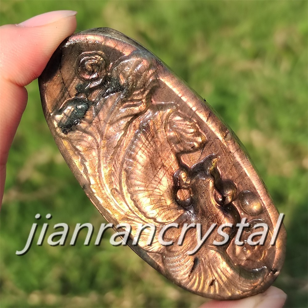 Rare Natural Labradorite Carved Phoenix Totem Quartz Crystal Skull Healing 1pc