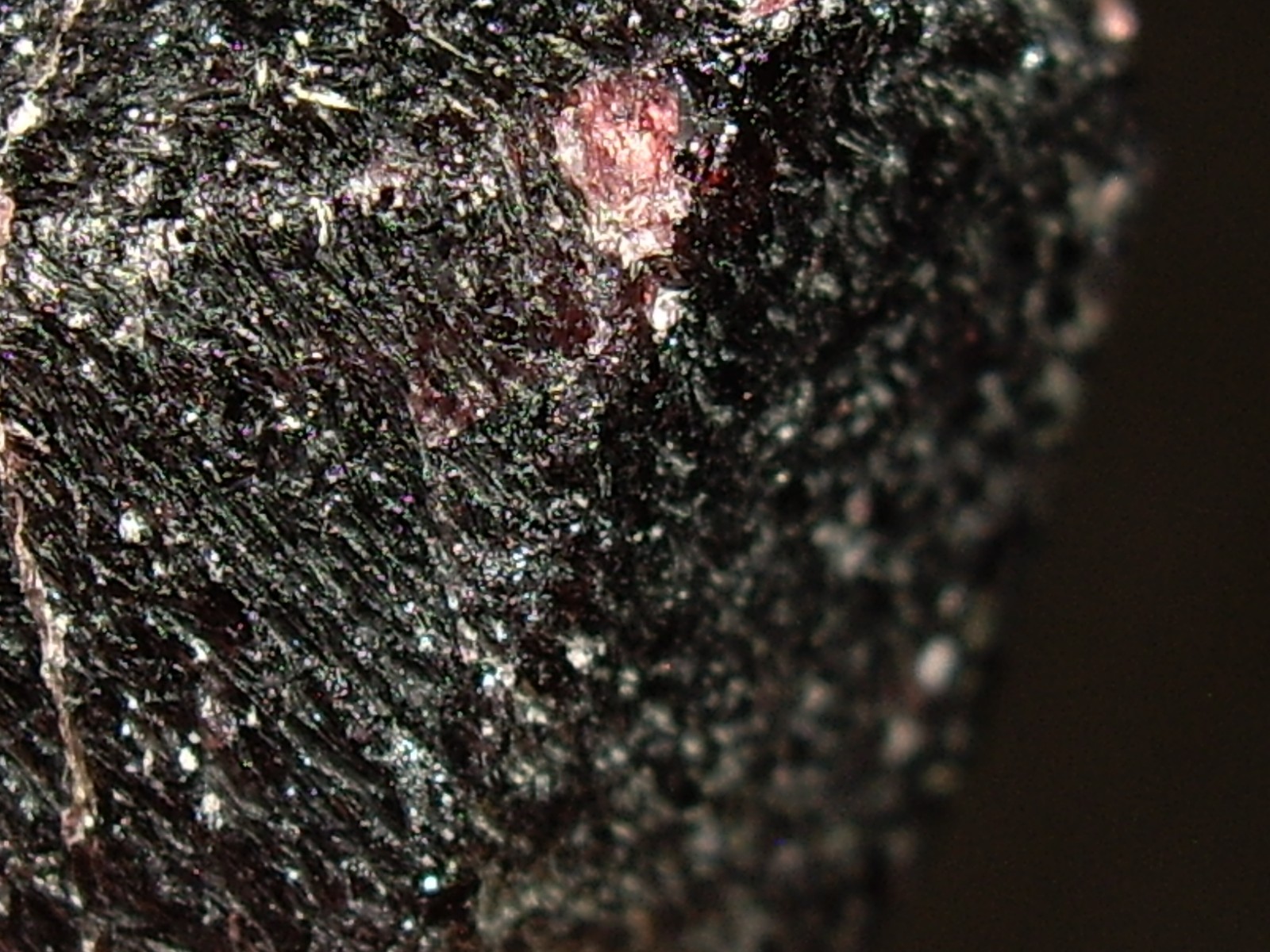 Deep Red Medium Large Garnet Crystal (Almandine ) 29.8g
