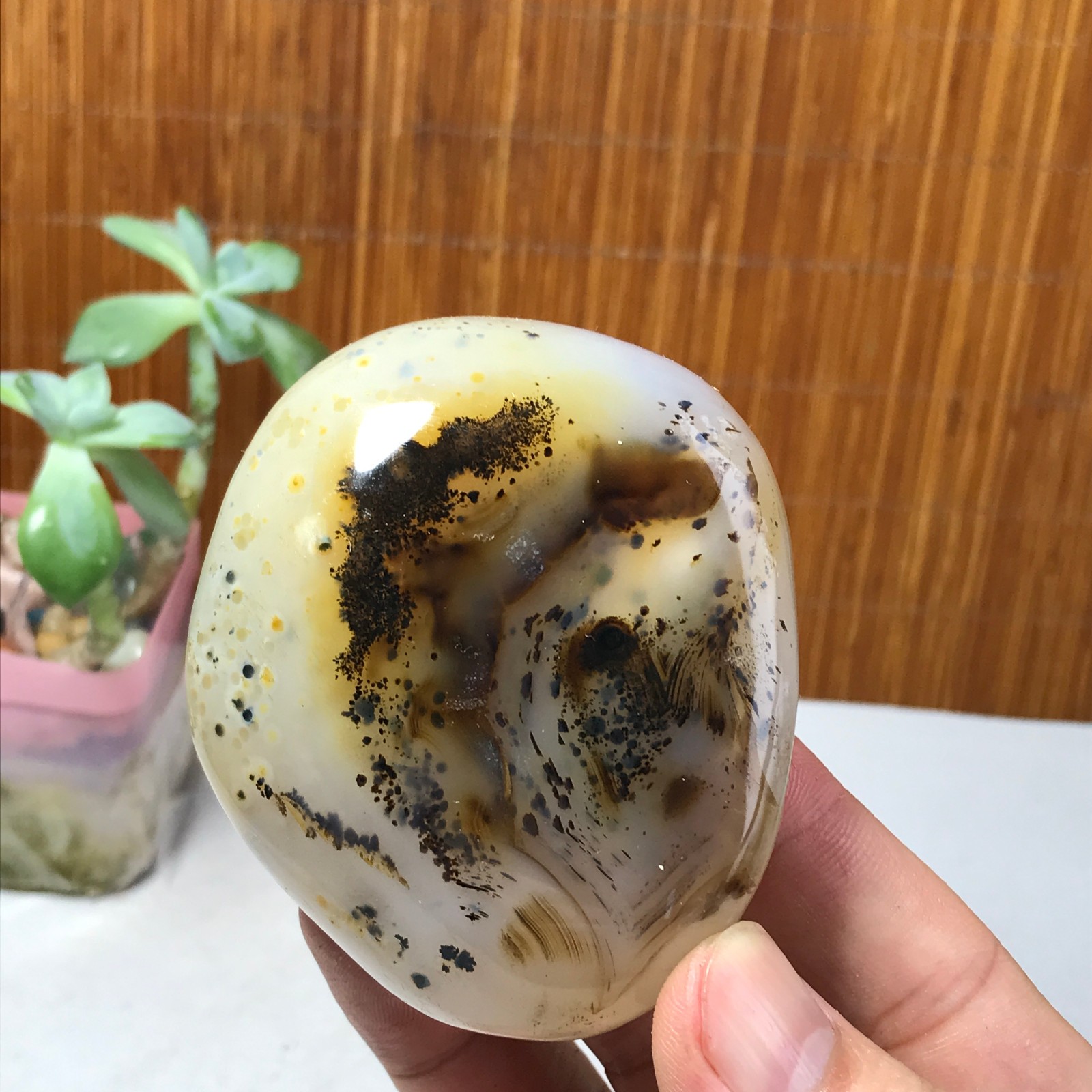 71mm Natural aquatic plants agate pretty Crystal specimens 210g A1637