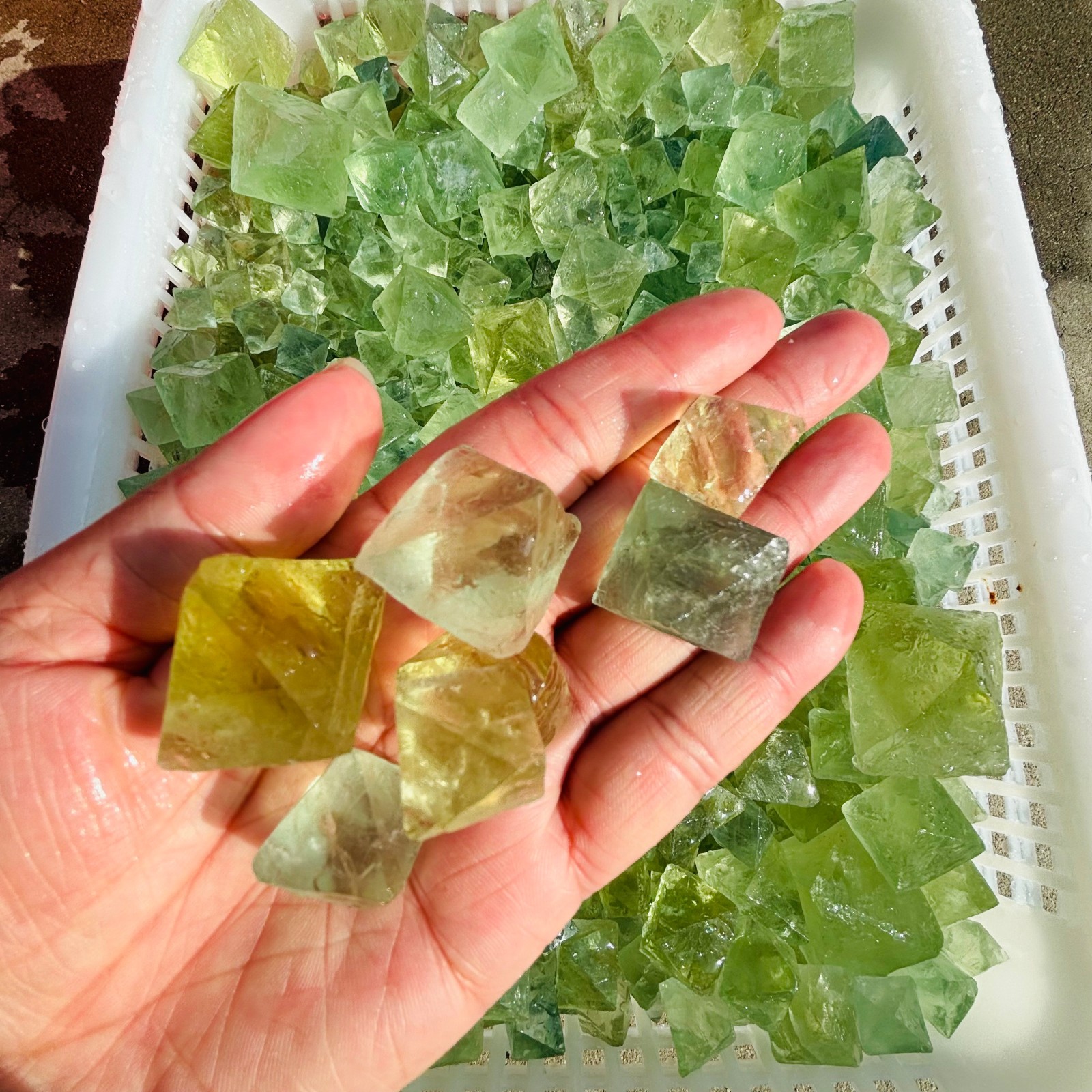 2.2 LB Natural Green Fluorite Octahedron Quartz Crystal Point Healing Gift