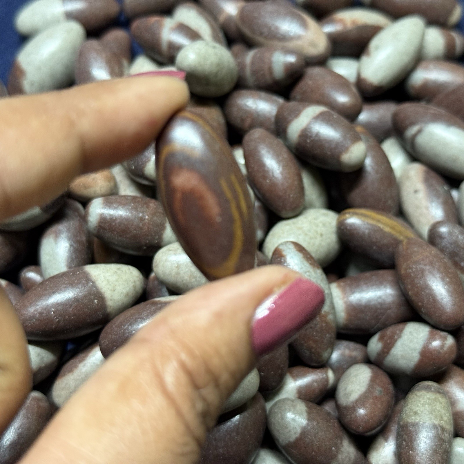 10 pc small 1” Shiva Lingam stone from India – Narmada River High Quality