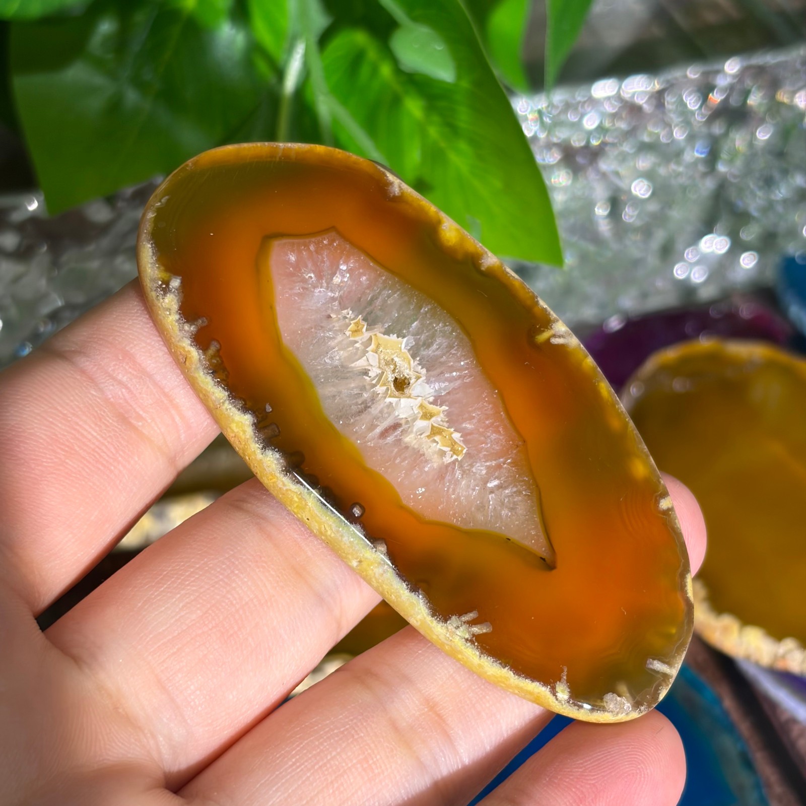Agate Slices Bulk Lot – Random Colors & Shapes – Min 100g Guaranteed