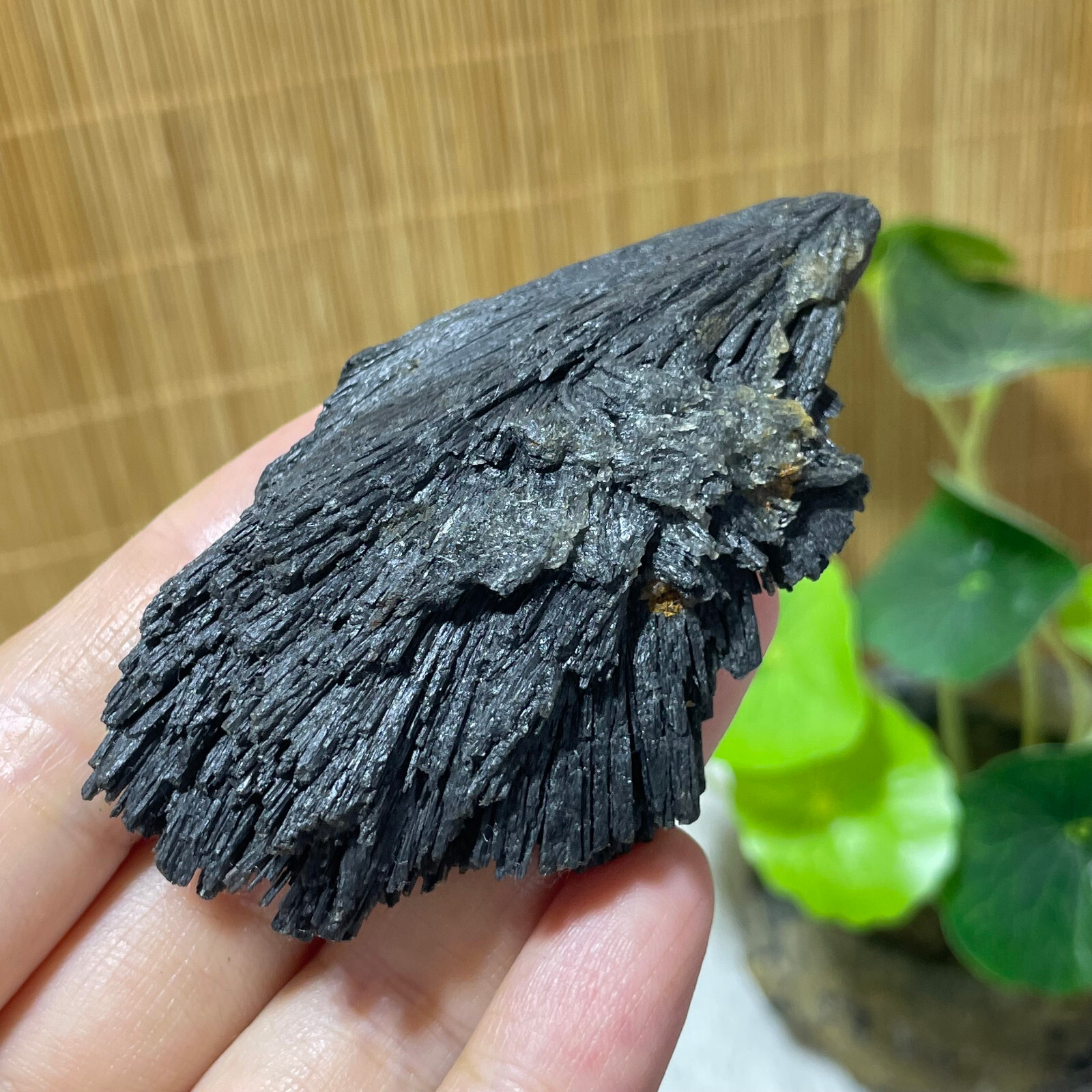 64g Natural Irregular natural black crystal cluster mineral specimen（dian qishi）