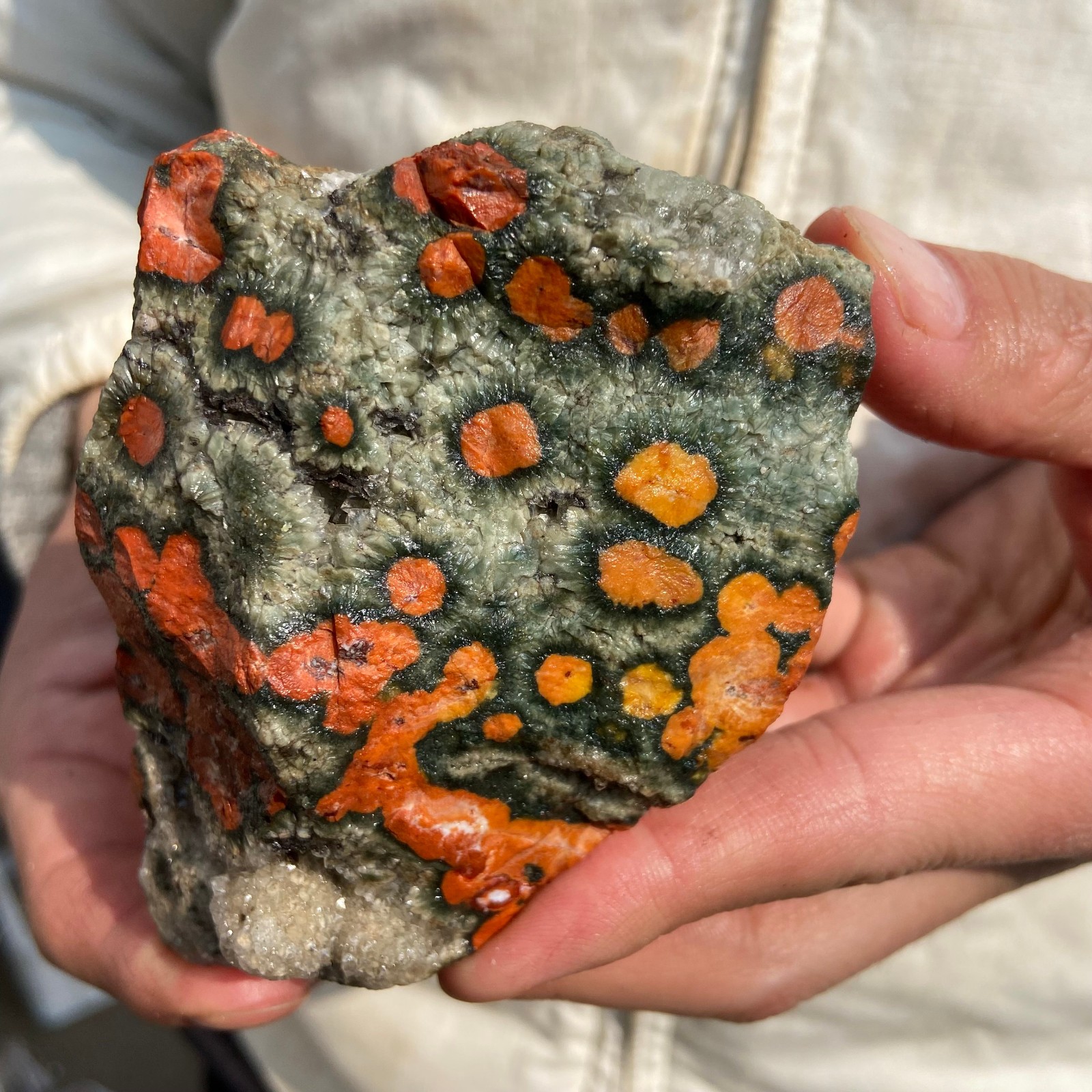 1lb Natural colourful ocean jasper raw stone crystal rough mineral specimen