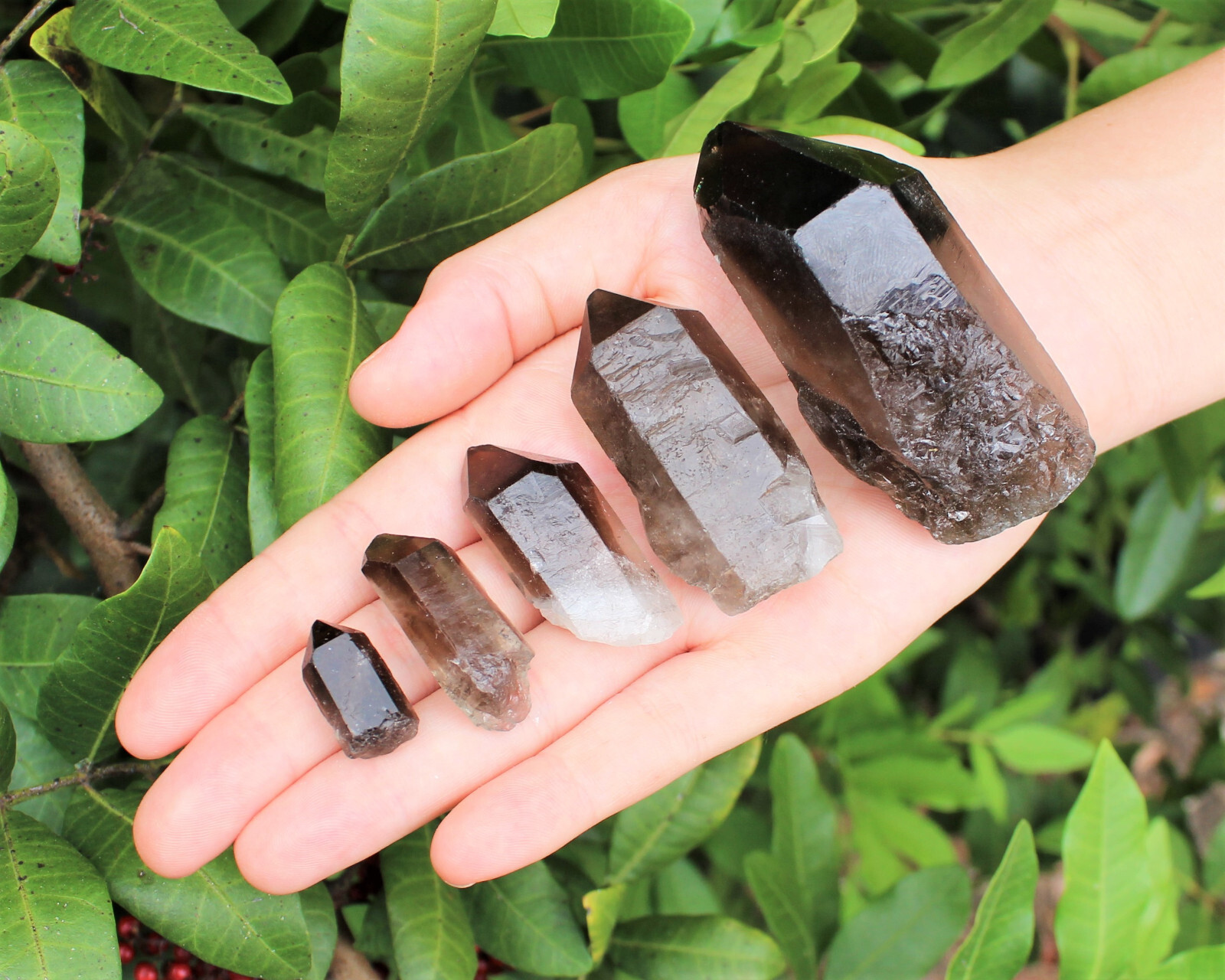 Smoky Quartz Points, LARGE ‘AAA’ Grade Smoky Quartz Crystal Point: Choose Size