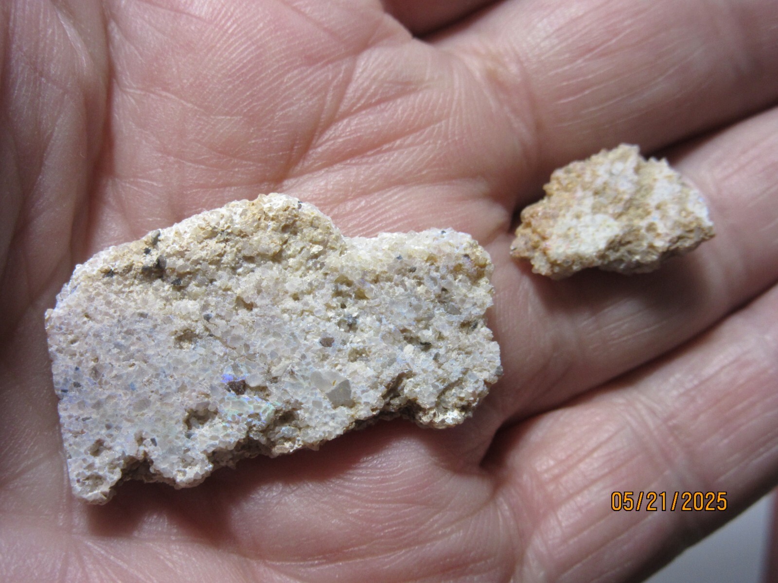 Fire Opal in Sandstone 1 3/8 Inch Mineral Louisiana Collectible OSMLC-2s-B
