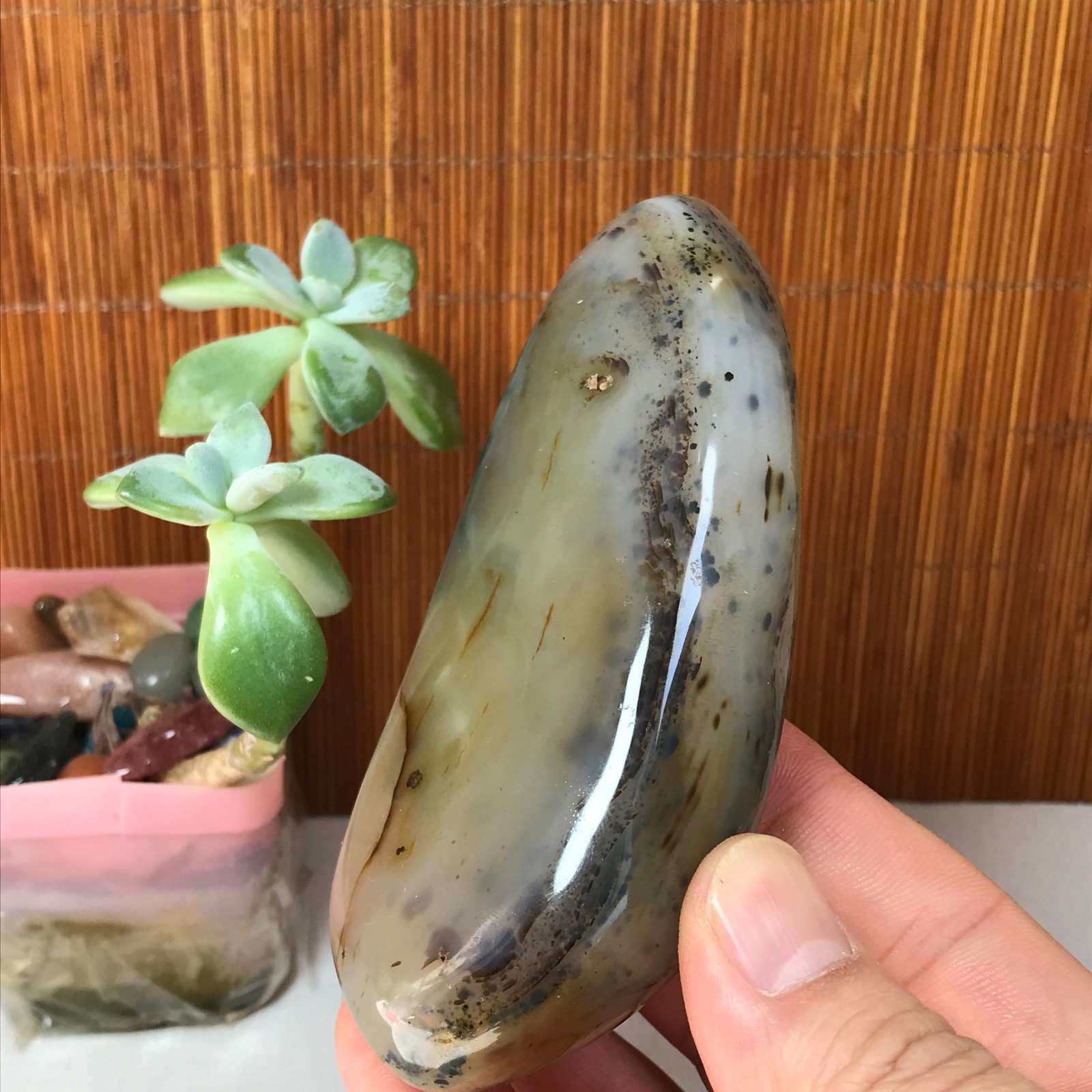 110-47-27mm Natural aquatic plants agate pretty Crystal specimens 248g A1878