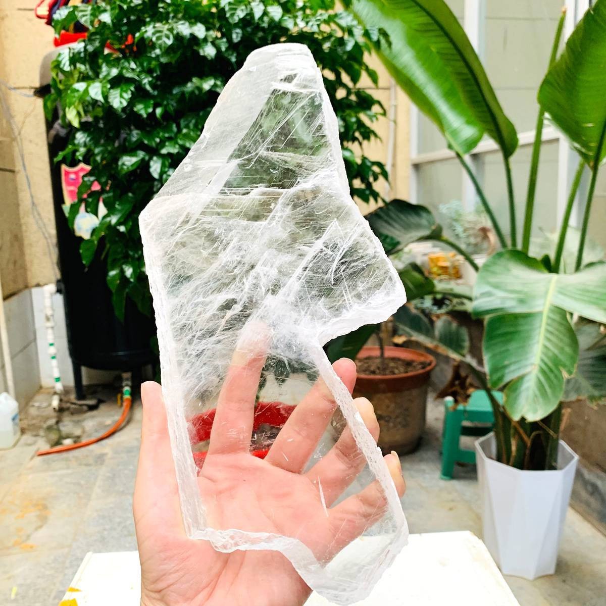 2.84LB Natural Clear Transparent Selenite Slab Gypsum Crystal Mineral Specimen