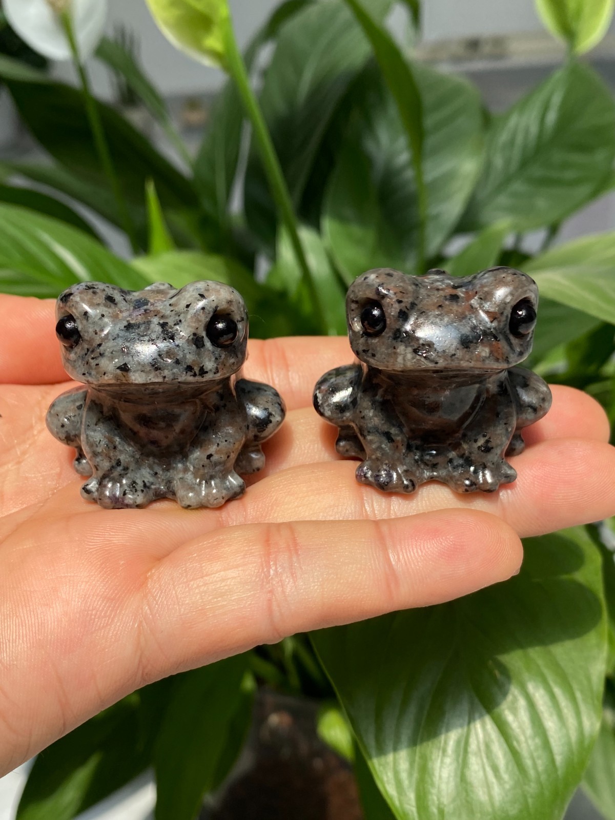 1pc Natural Yooperlite Quartz Carved Crystal Frog skull reiki healing gift Decor