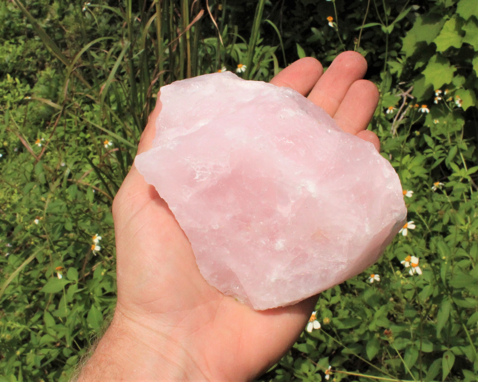 JUMBO Rose Quartz Raw Natural Crystal Specimen: 1 – 2 lb HUGE Chunk (Love Stone)