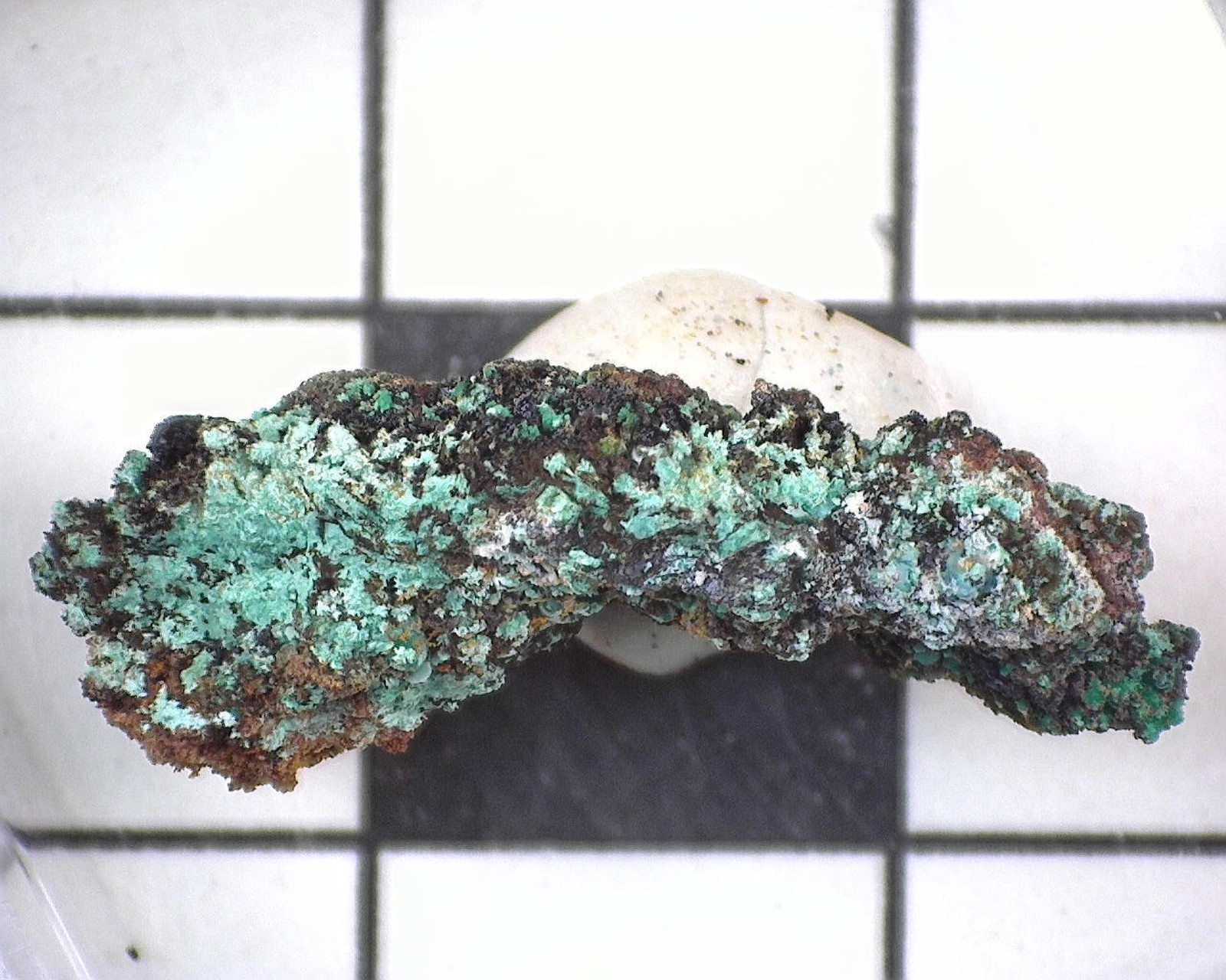 20410 MM Malachite Aurichalcite Lavreotiki East Attica Attica Greece 14187
