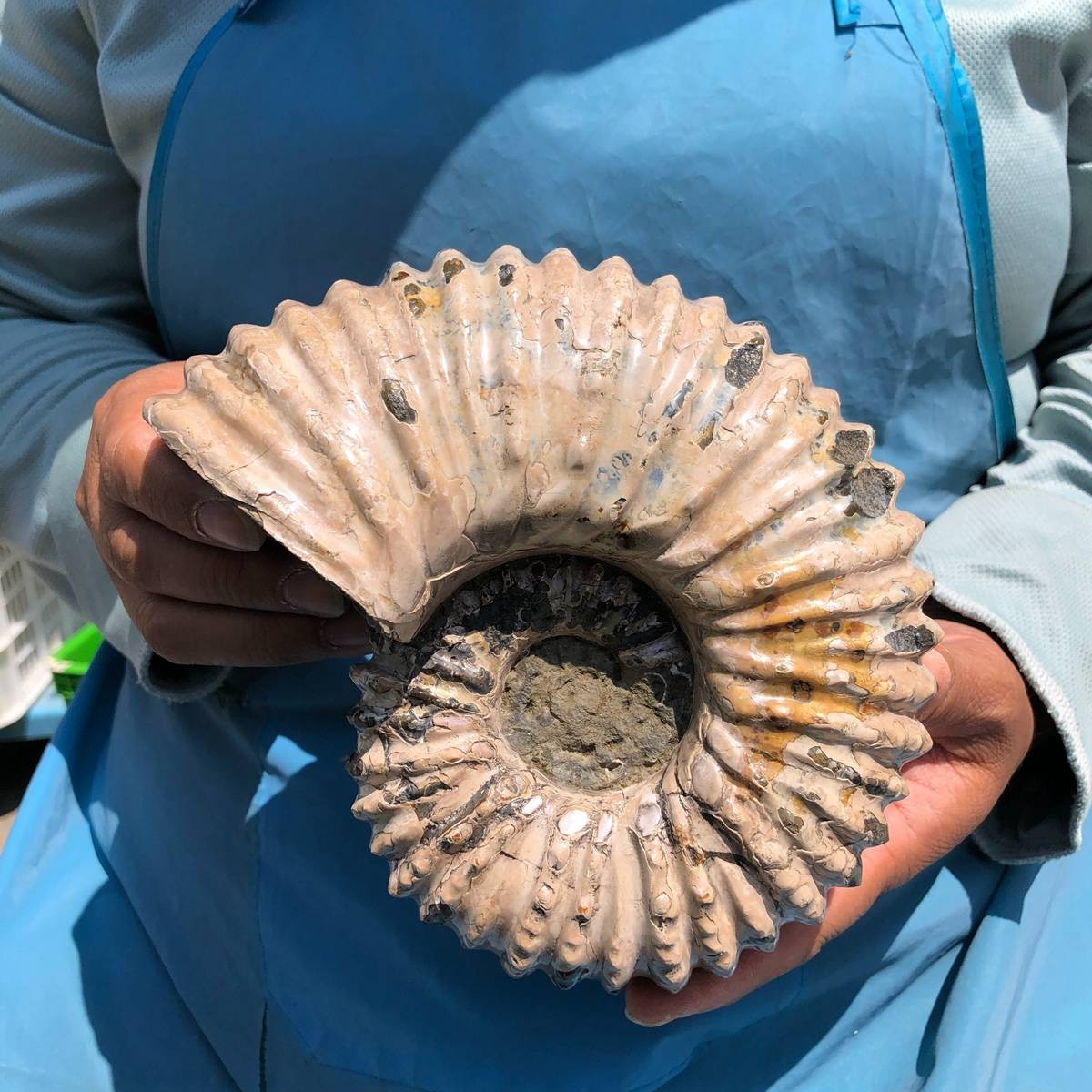 3.98LB Natural Beautiful Ammonite Fossil Conch Crystal Specimen Healing 5390