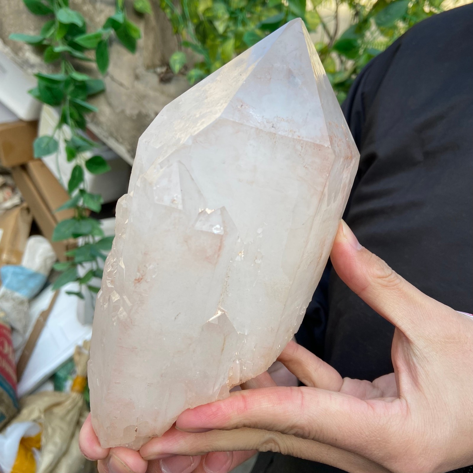 3.5lb Natural Clear White Quartz Crystal point Rough Healing Specimen
