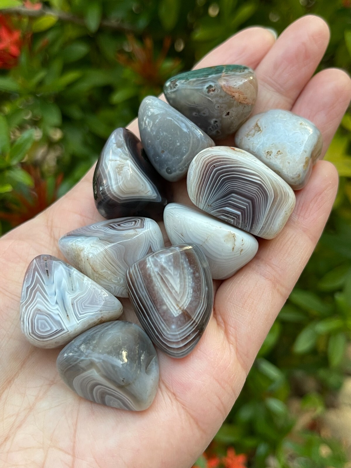 Grade A++ Botswana Agate Tumbled Stones 0.75-1 Inch, Wholesale Bulk Lot