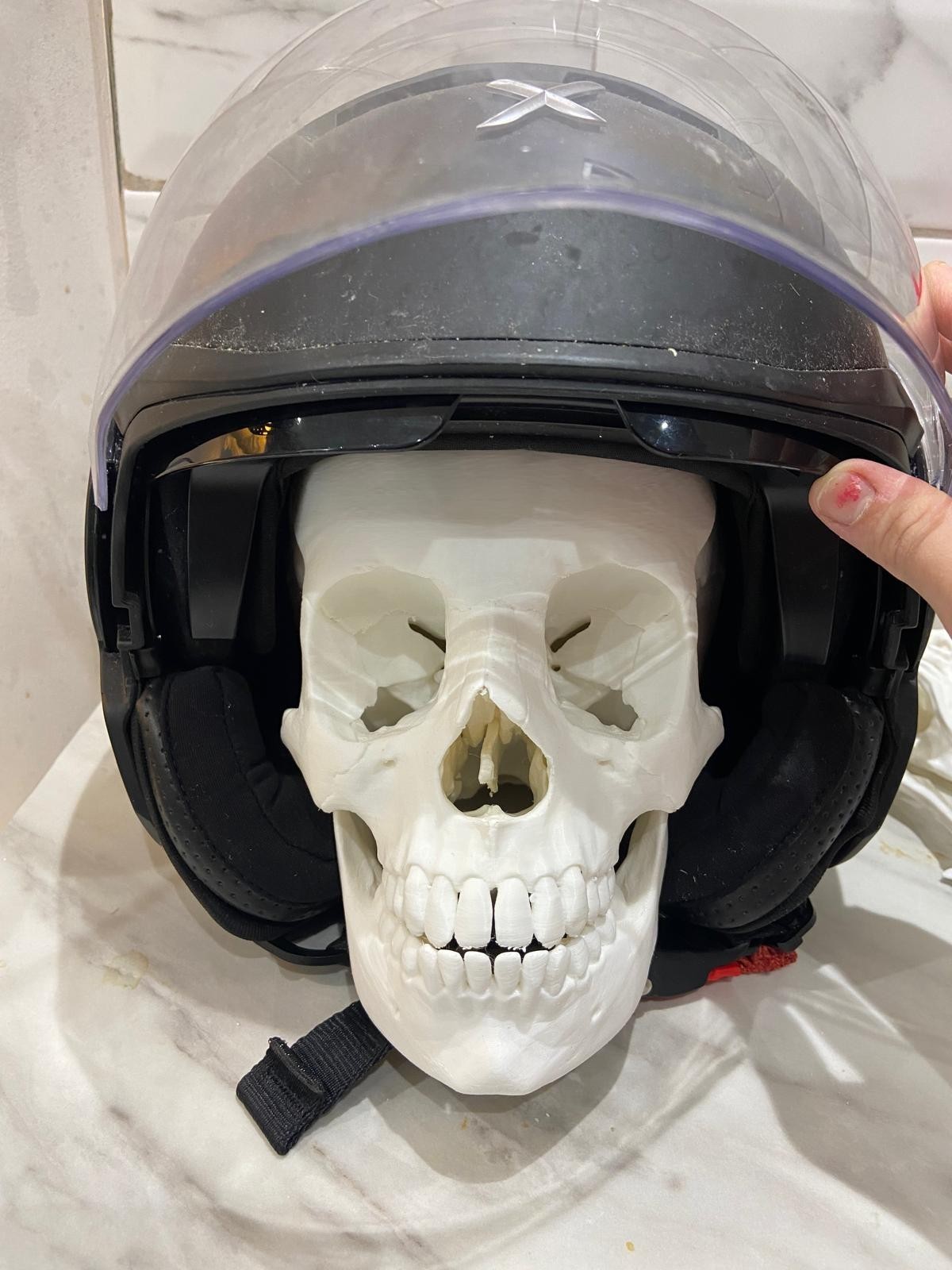 life Size Human Skull Replica 3D Printed Based on Real Anatomy Separat Jaw