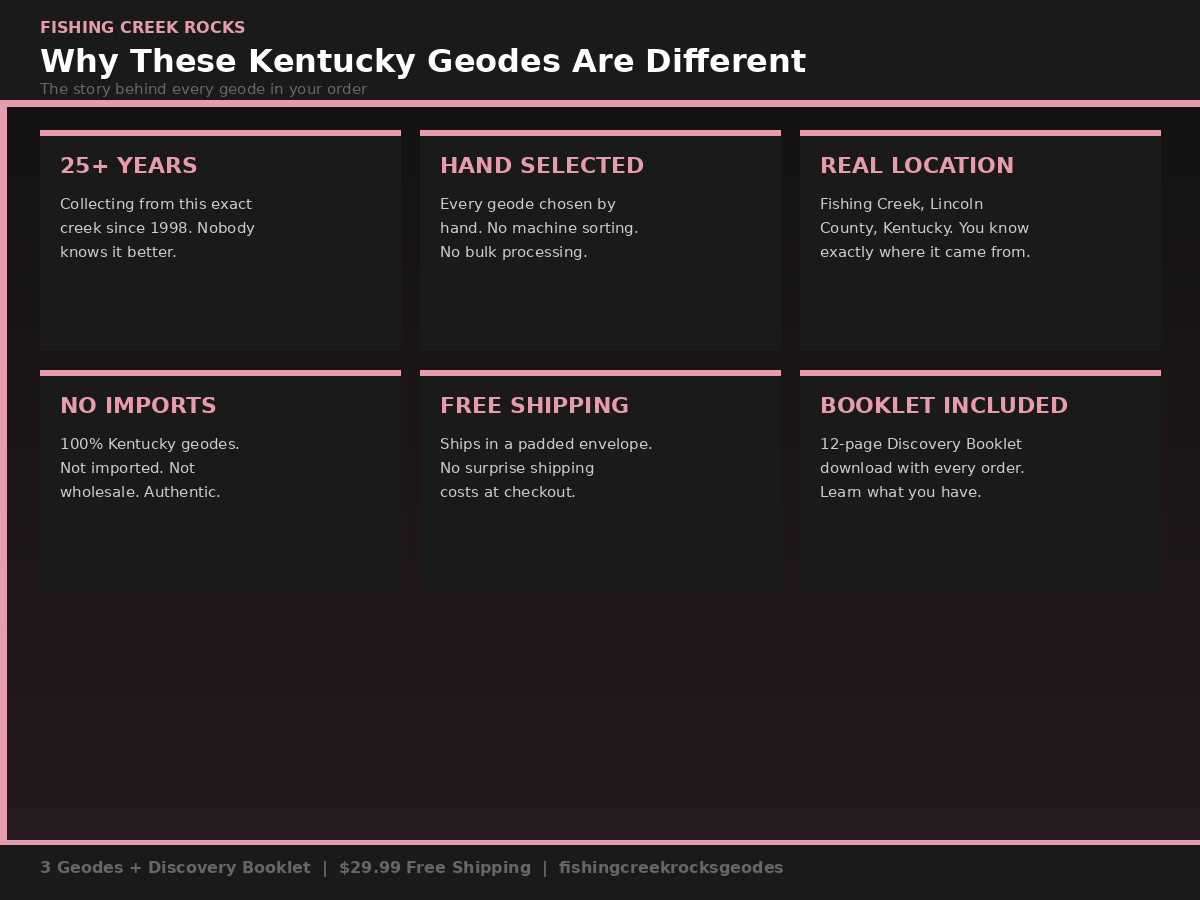3 Unopened Kentucky Geodes + Discovery Booklet Crack Your Own Lincoln County Ky