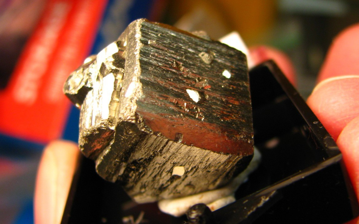 GOLDEN PYRITE THUMBNAIL IN CASE CUBIC MURO DE AGUQAS LA RIOGA SPAIN #159