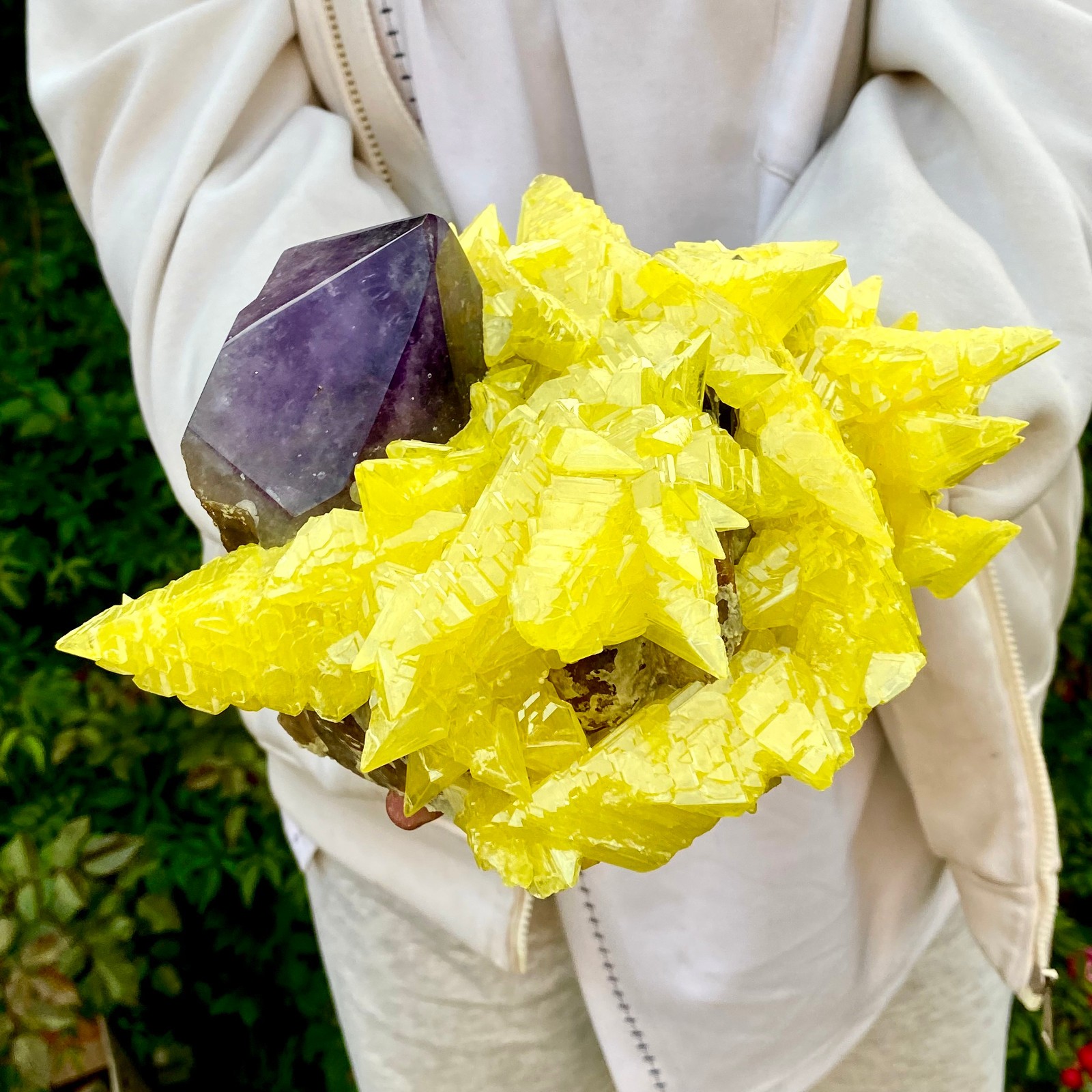 10LB Natural Amethyst & Sulphur Symbiotic Crystal Cluster Specimen