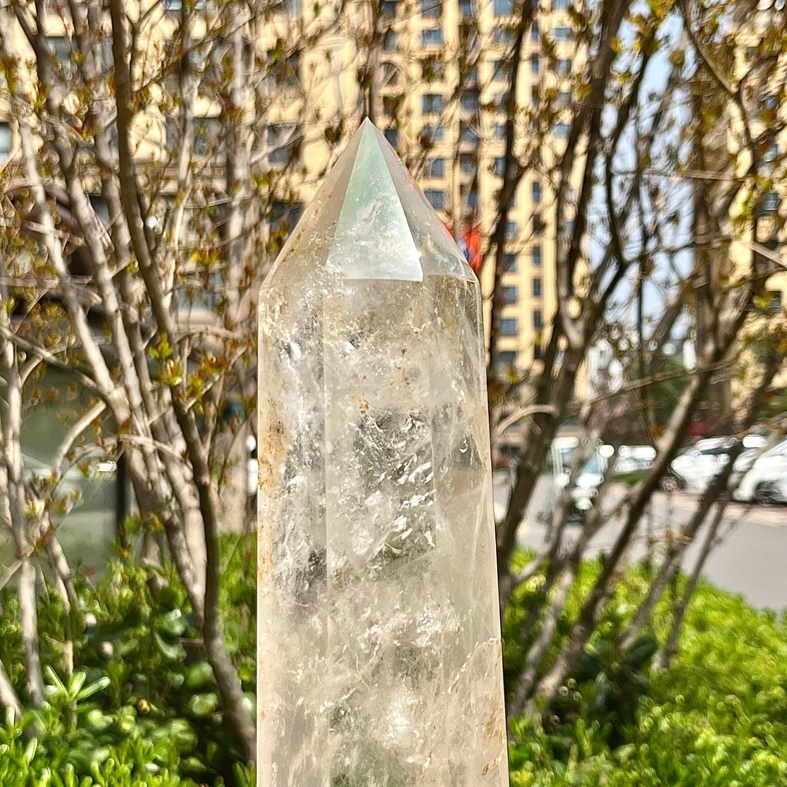 Raw Clear Quartz Crystal Point Cluster Specimen Mineral Home Office Decor 6.3 lb