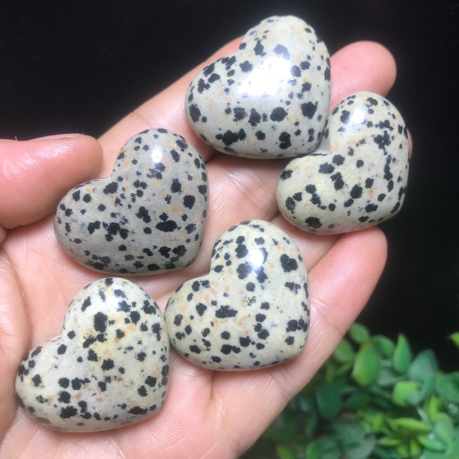5PC 84g Natural Dalmatian Jasper Crystal Heart Crystal Home Office Decorative
