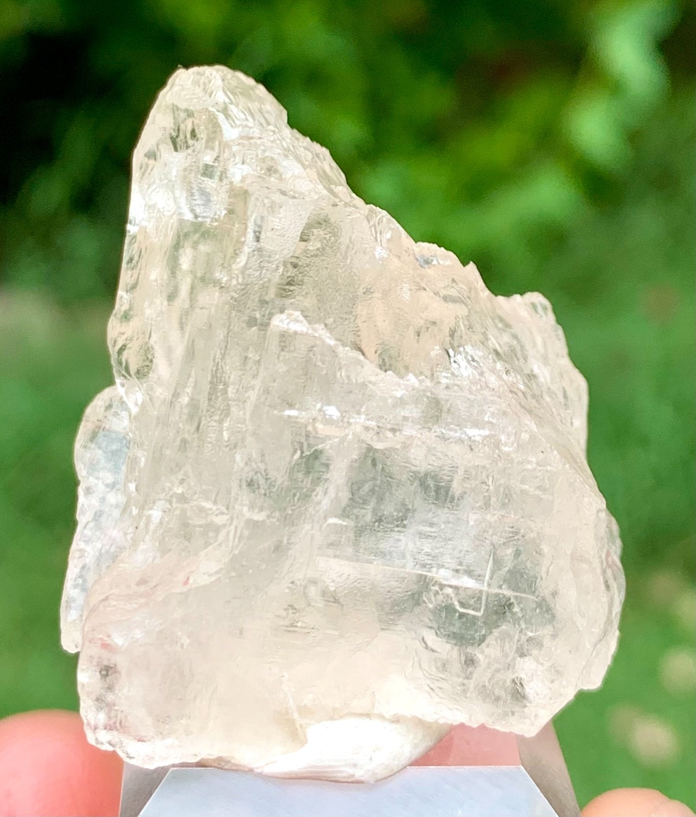 146 CT World Rarest Phenakite Crystal From Shengus Mine Rhoundu Skardu Pakistan