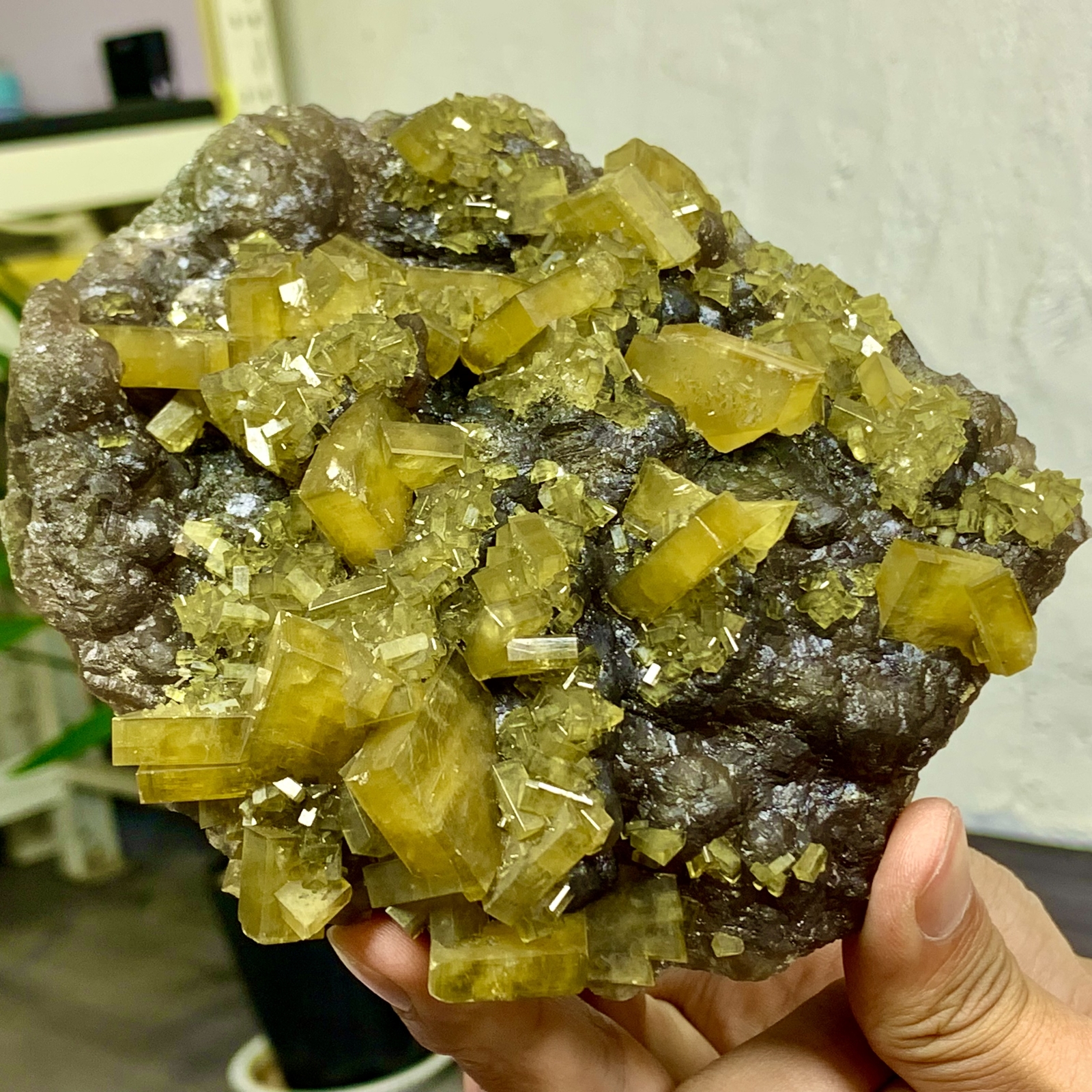 2.76LB Shiny Golden Cuboid Barite Crystal Based on the Purple Spherical Fluorite
