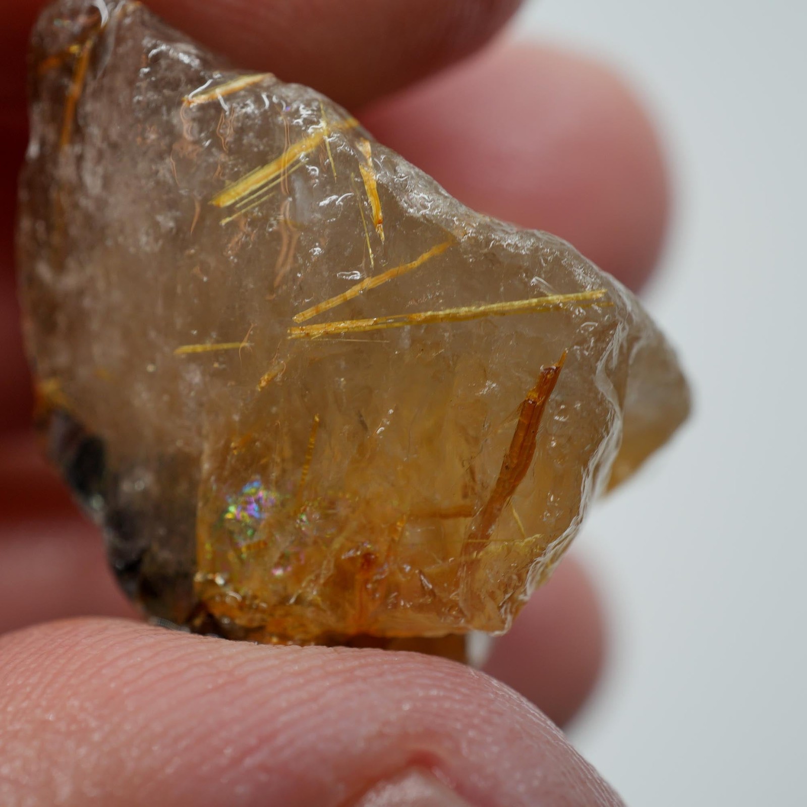 Rutilated Quartz – Golden Needle Quartz Crystal – Brazil Specimen